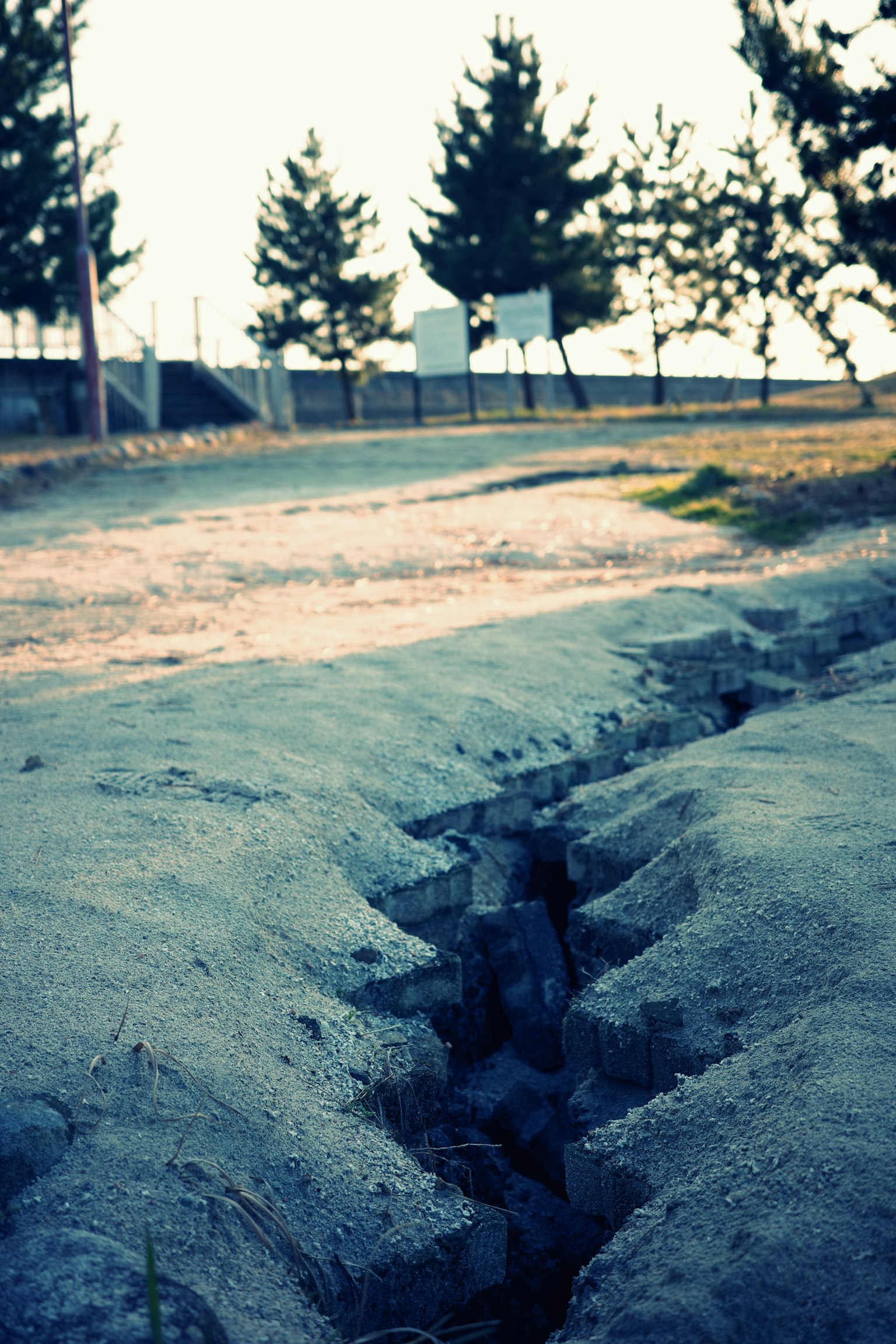 Landscape showing cracked soil with surrounding trees