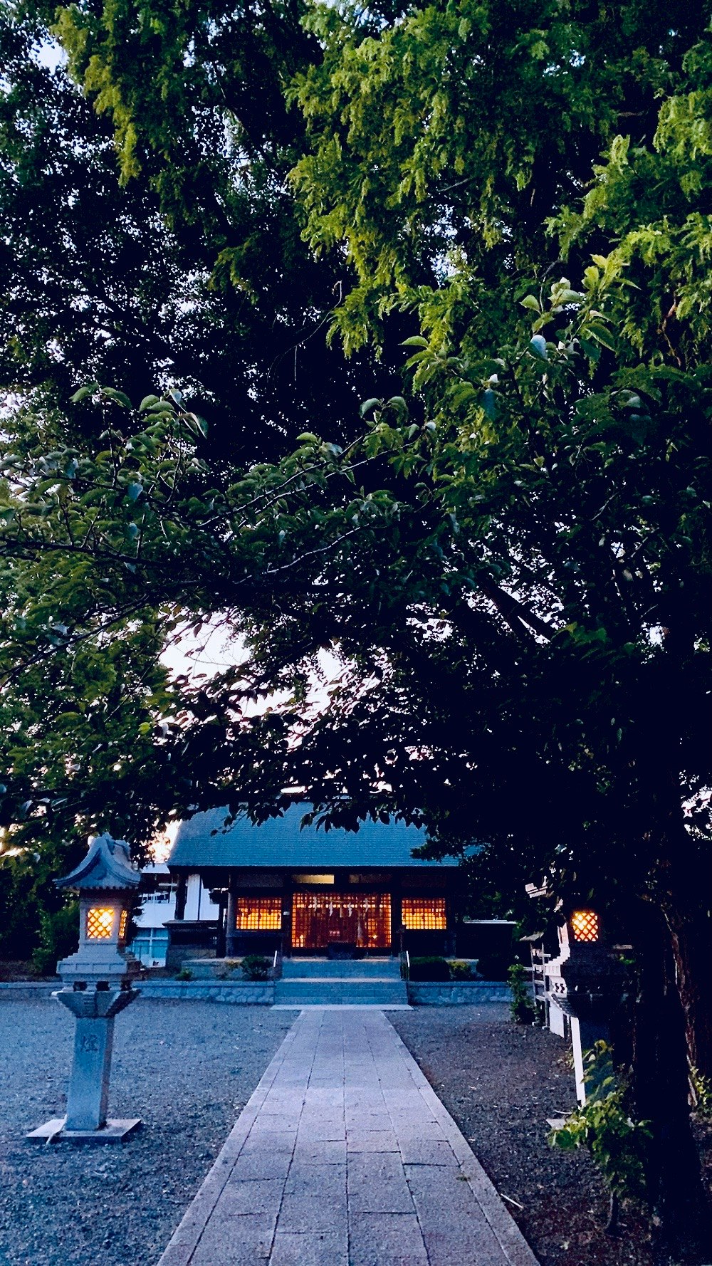 Serene shrine landscape with a path surrounded by green trees and soft evening light