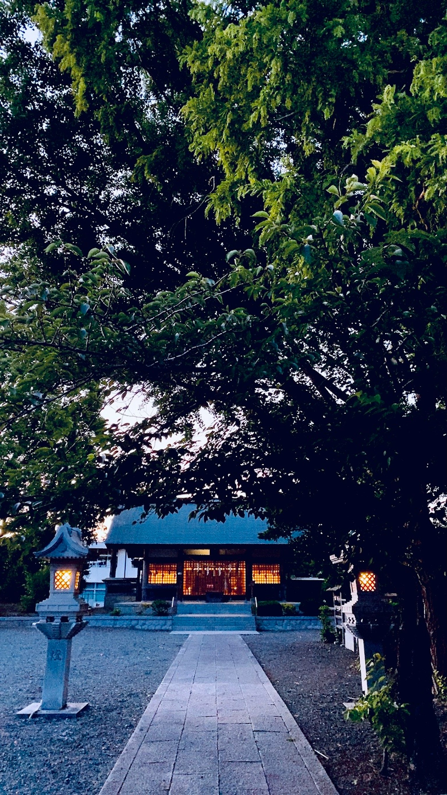 寧靜的神社景觀，綠樹環繞的小路和柔和的傍晚光線