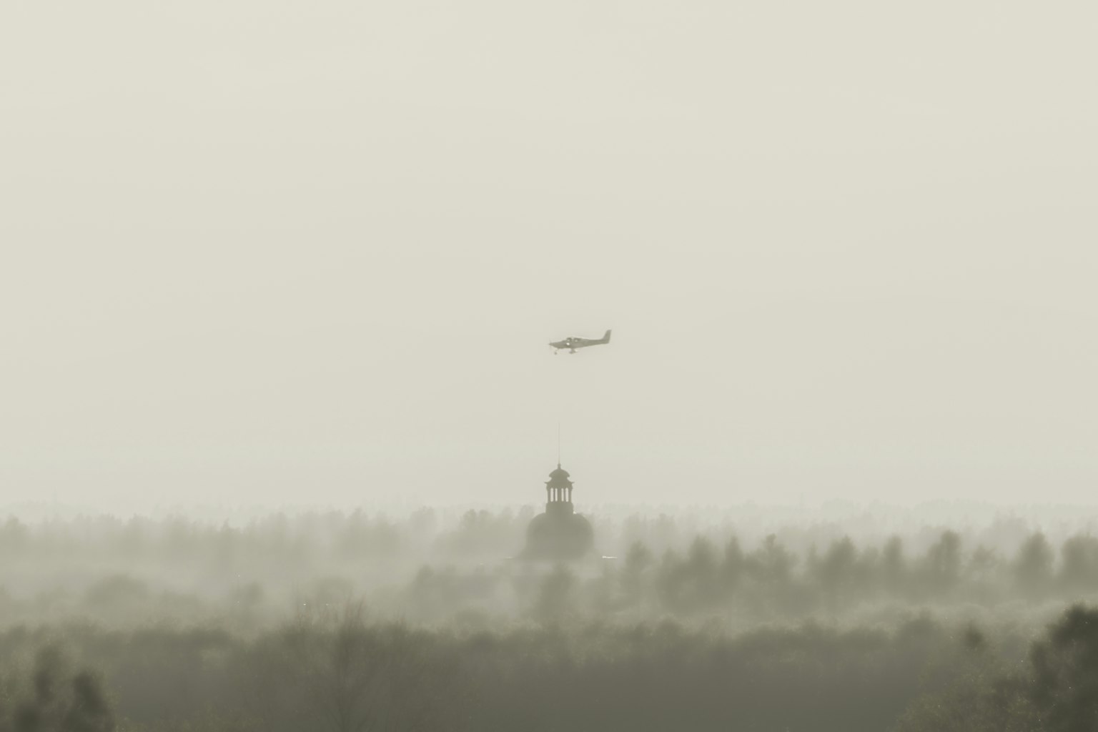 Aereo leggero che vola nella nebbia con silhouette di alberi sullo sfondo