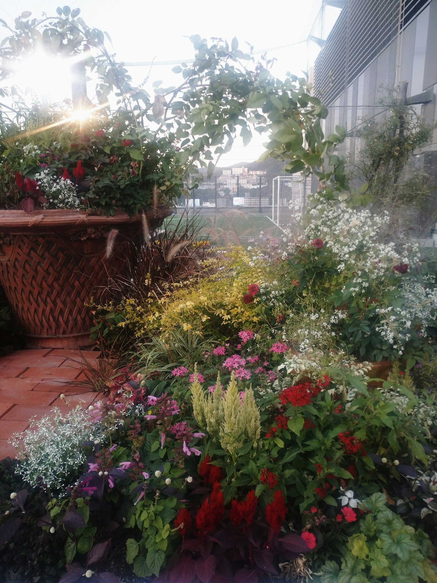 Scène de jardin vibrante avec des fleurs colorées et une verdure luxuriante dans un pot décoratif