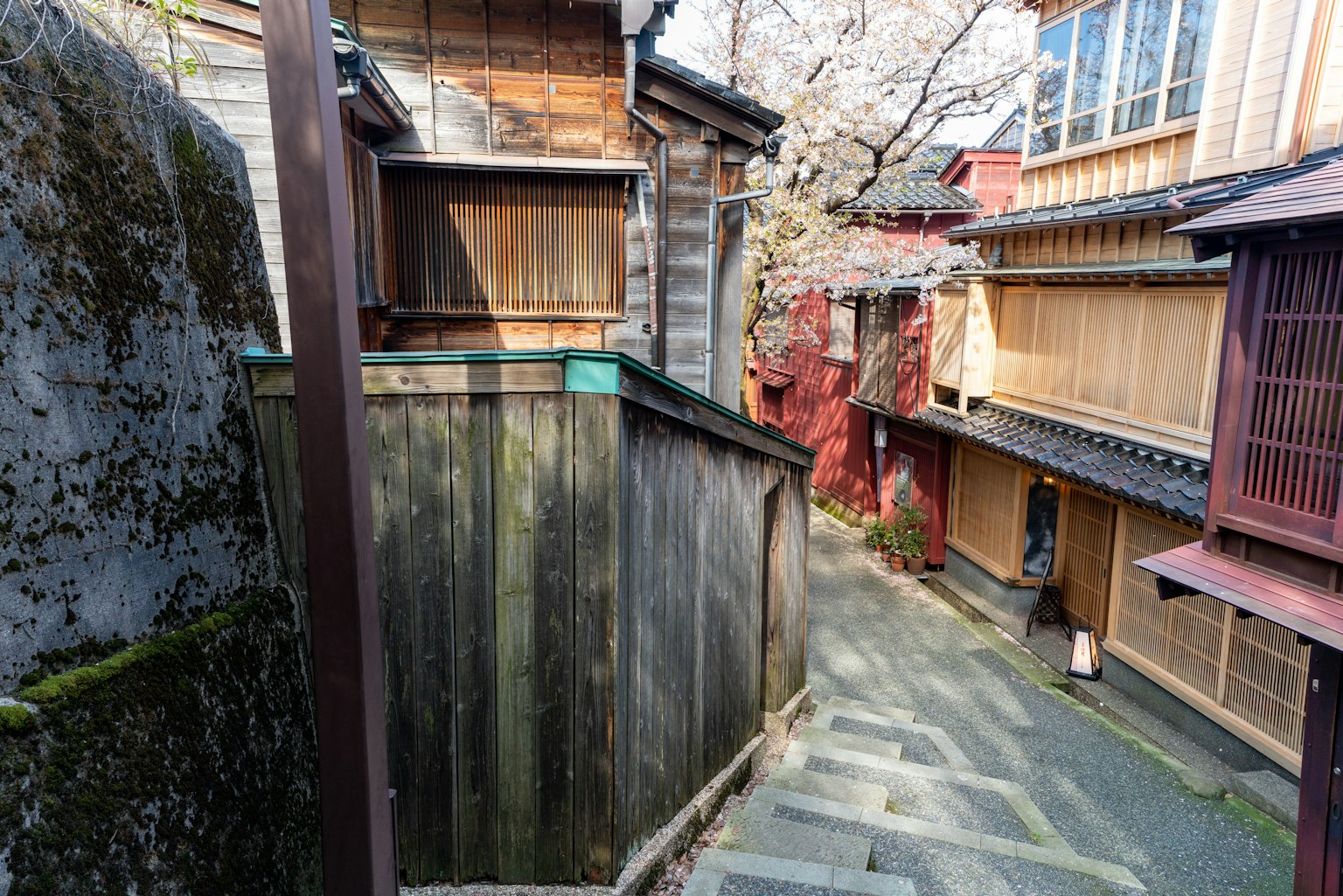 Vue pittoresque d'une ruelle japonaise traditionnelle avec des maisons en bois et des cerisiers en fleurs