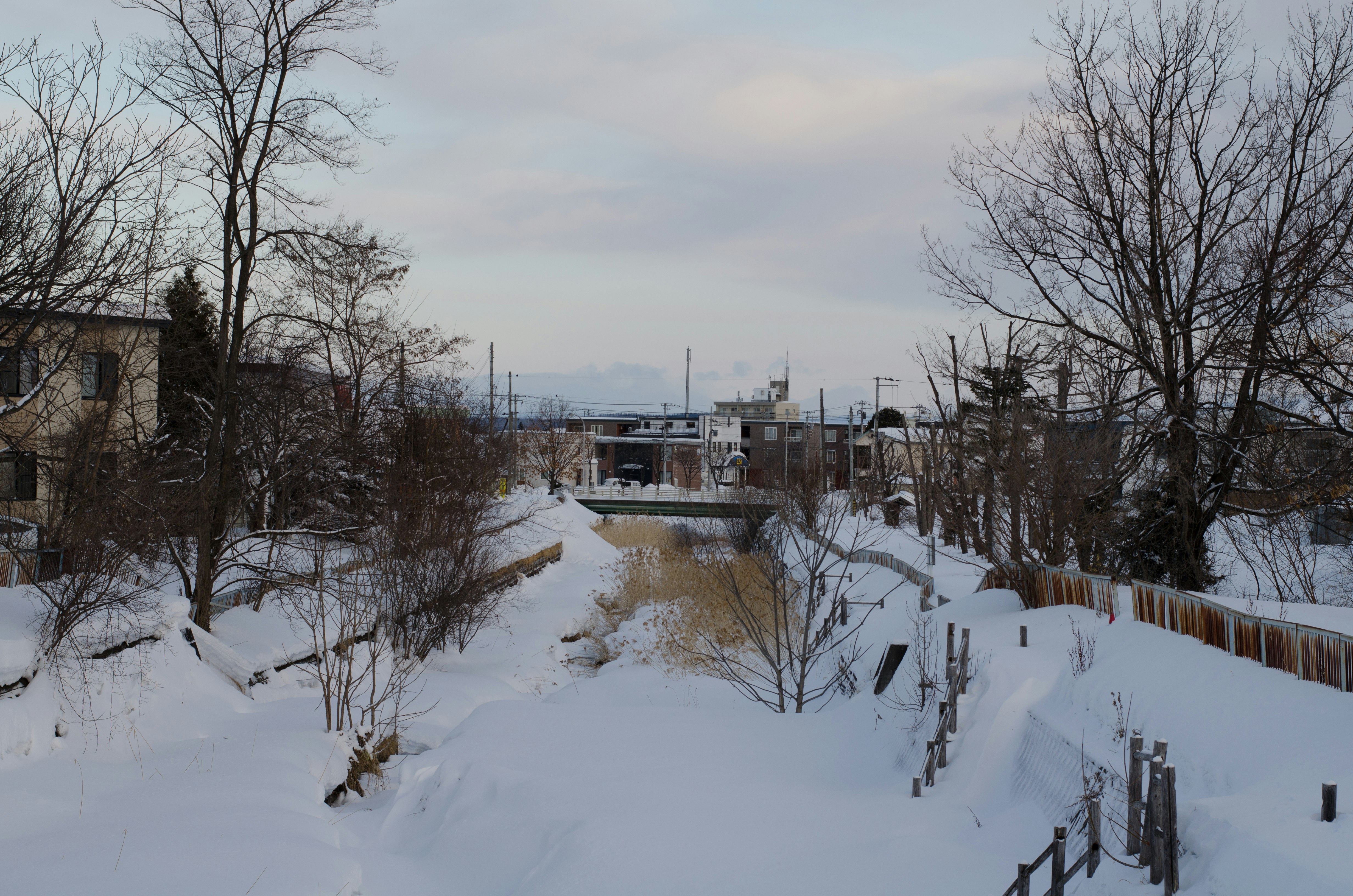雪の積もった住宅街の小道と柵のある風景