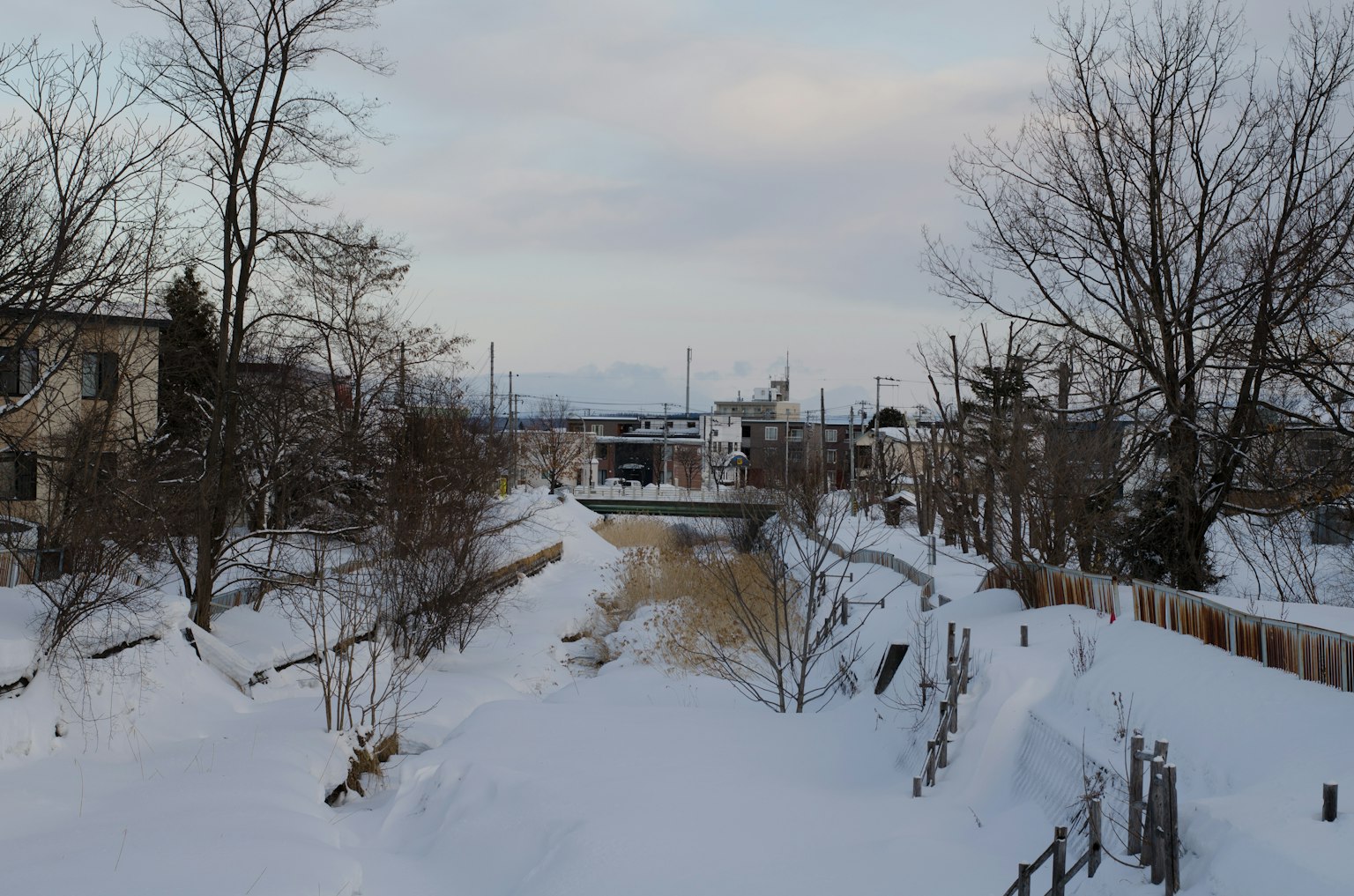 Paysage de rivière enneigée avec des arbres