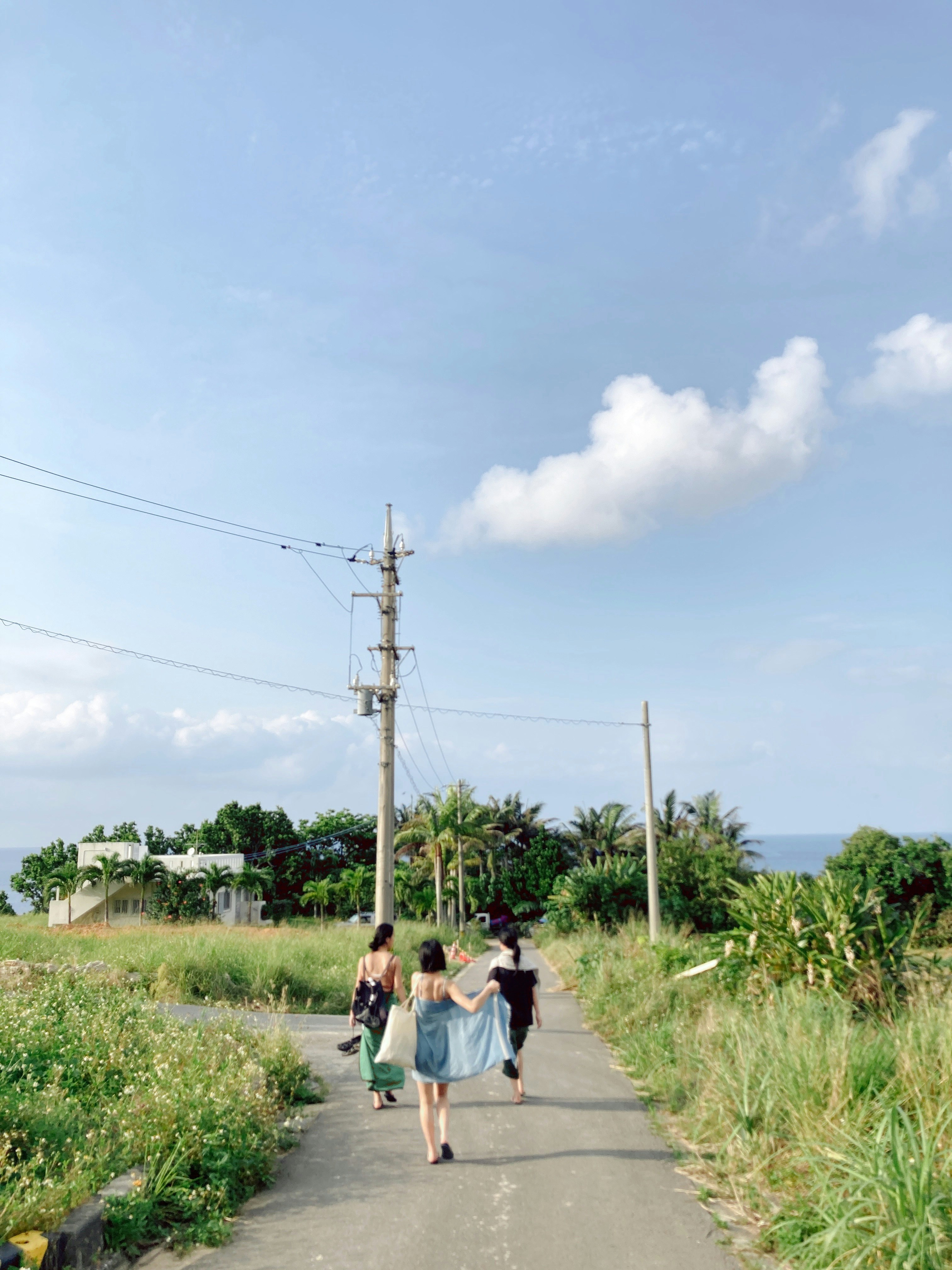 草むらの道を歩く人たちと青空の風景