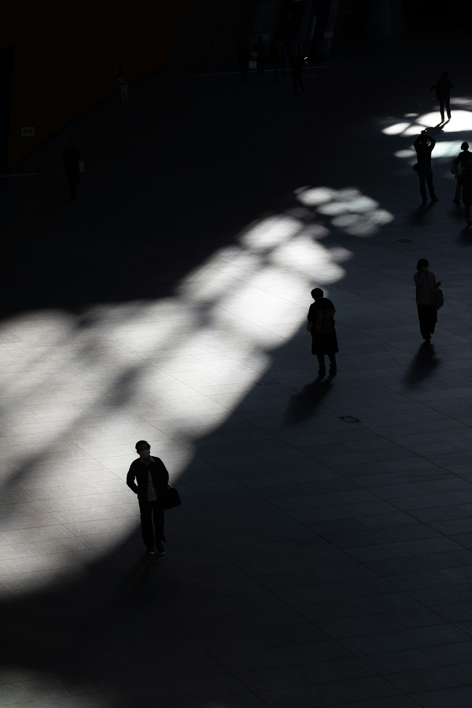 Siluetas de personas en sombras con patrones de luz impactantes