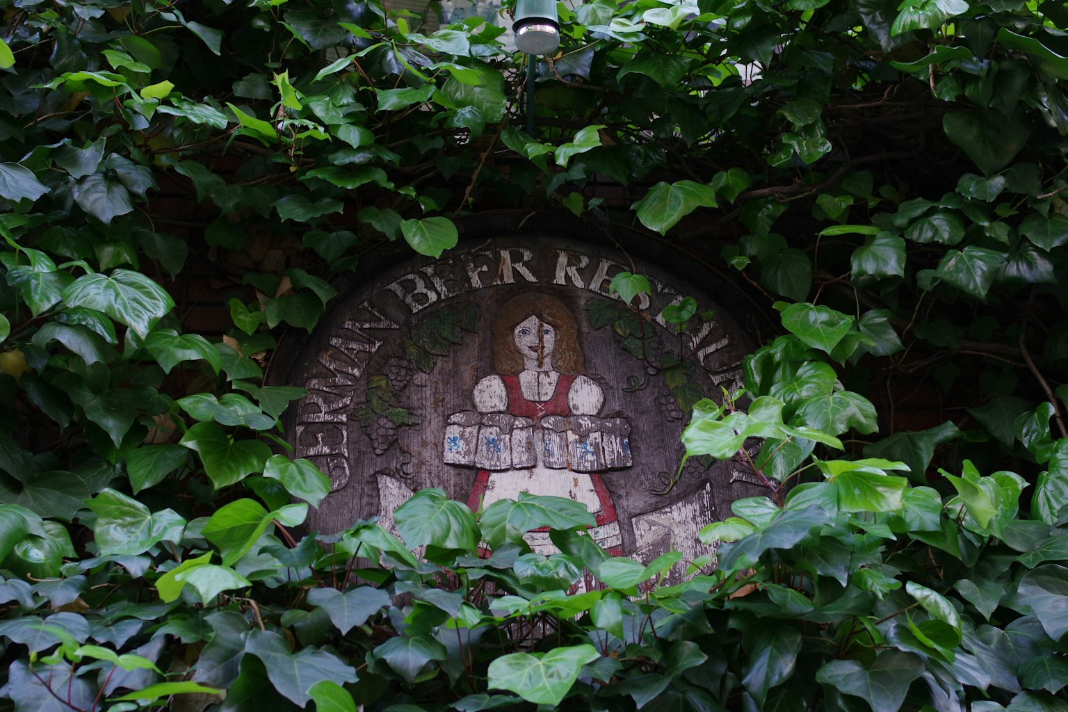 Un ancien panneau de brasserie entouré de lierre vert