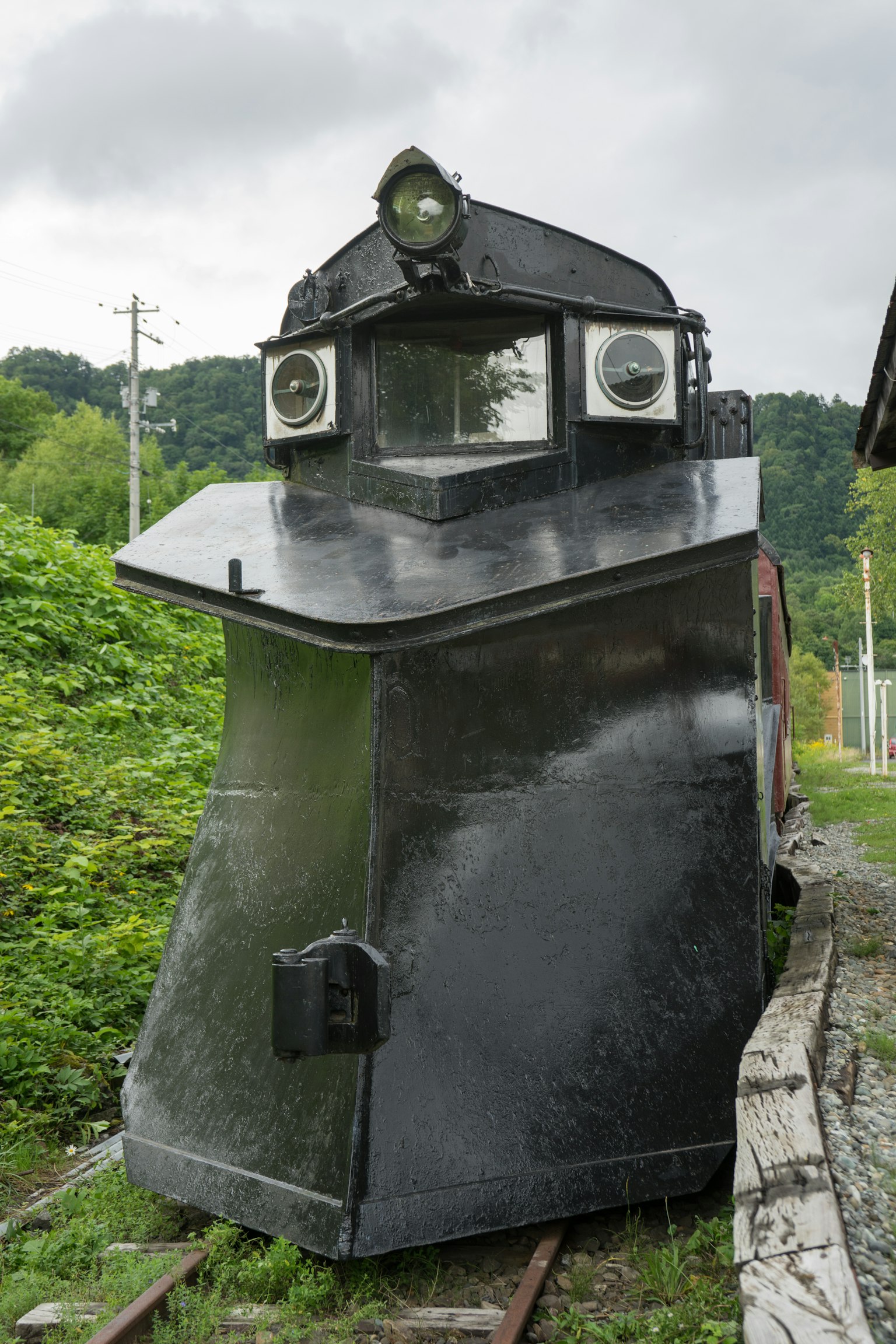 Tren quitanieves negro con un frente distintivo sobre fondo verde
