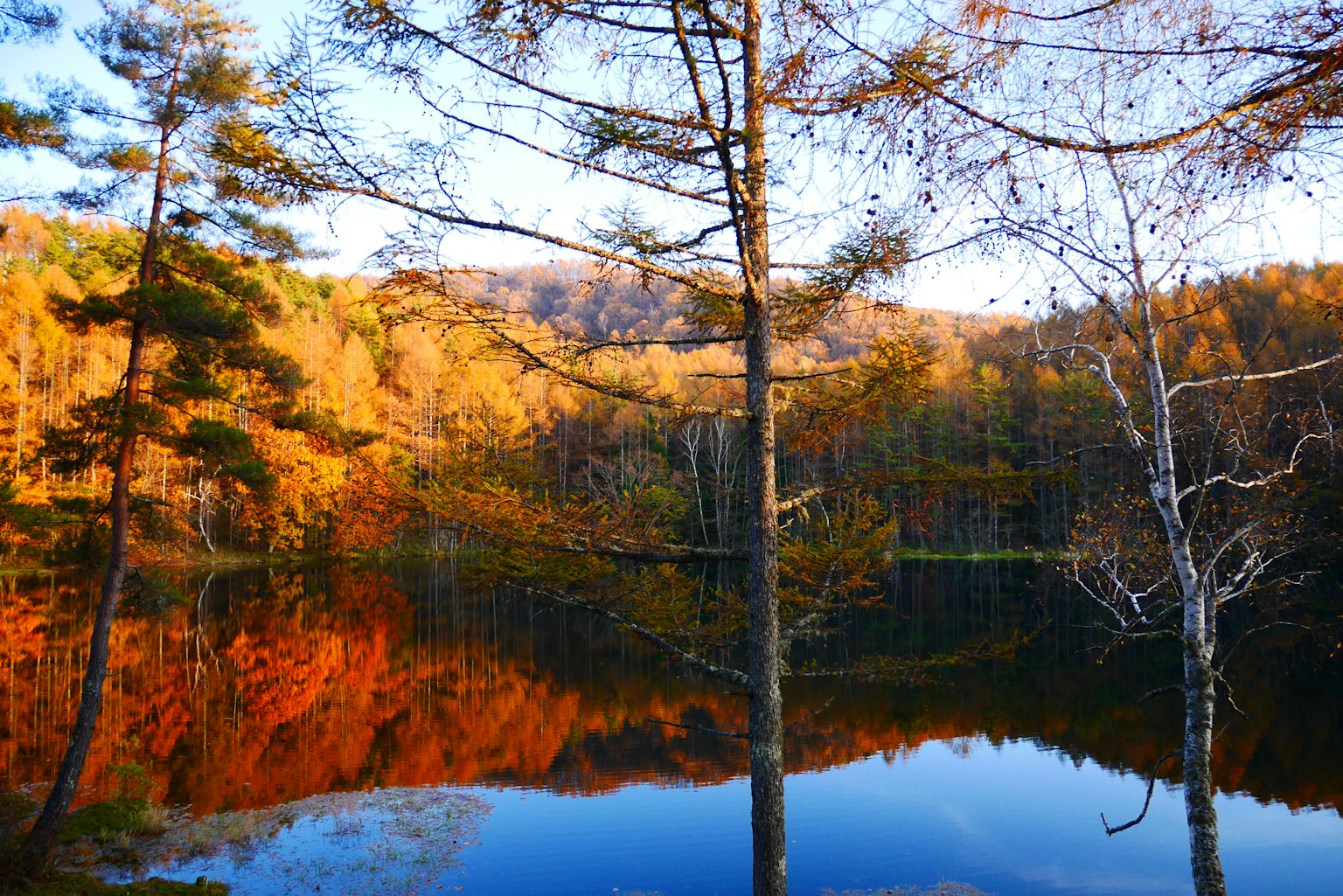 Malersches Herbstlandschaft mit See-Reflexionen und bunten Bäumen