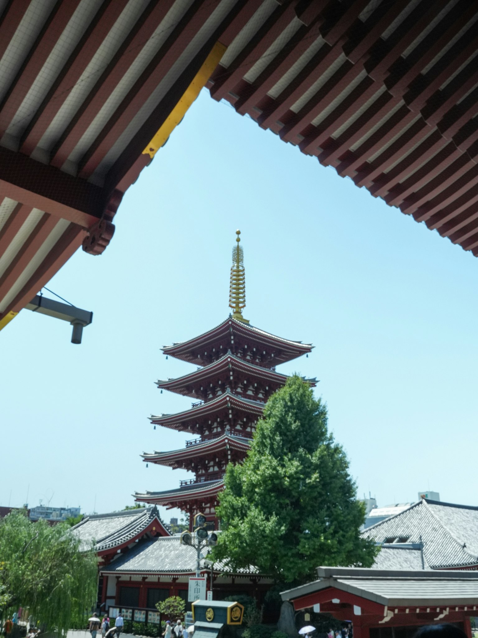 寺院の五重塔と赤い屋根の建物が並ぶ景観