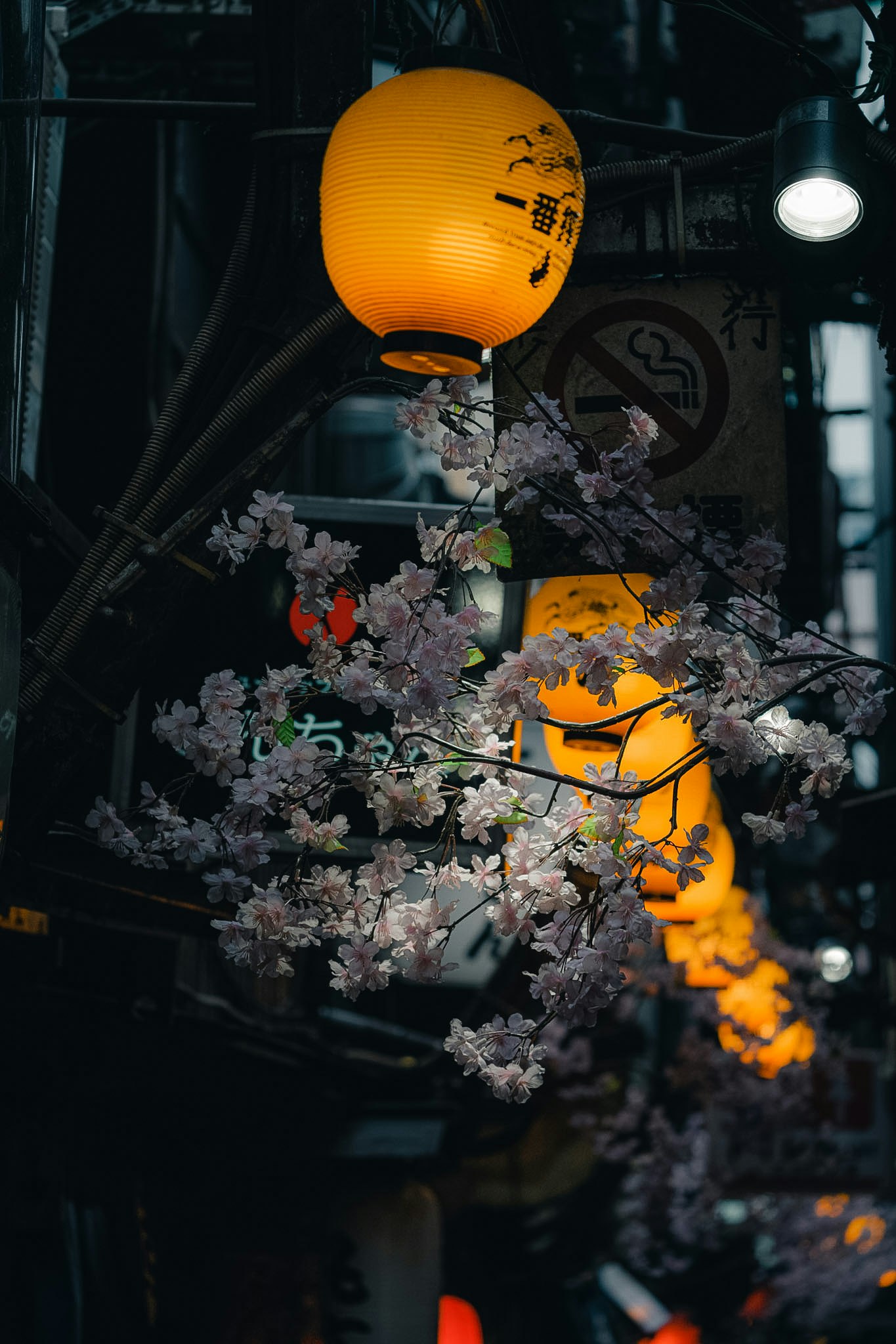 提灯と桜の花が飾られた夜の路地のような空間