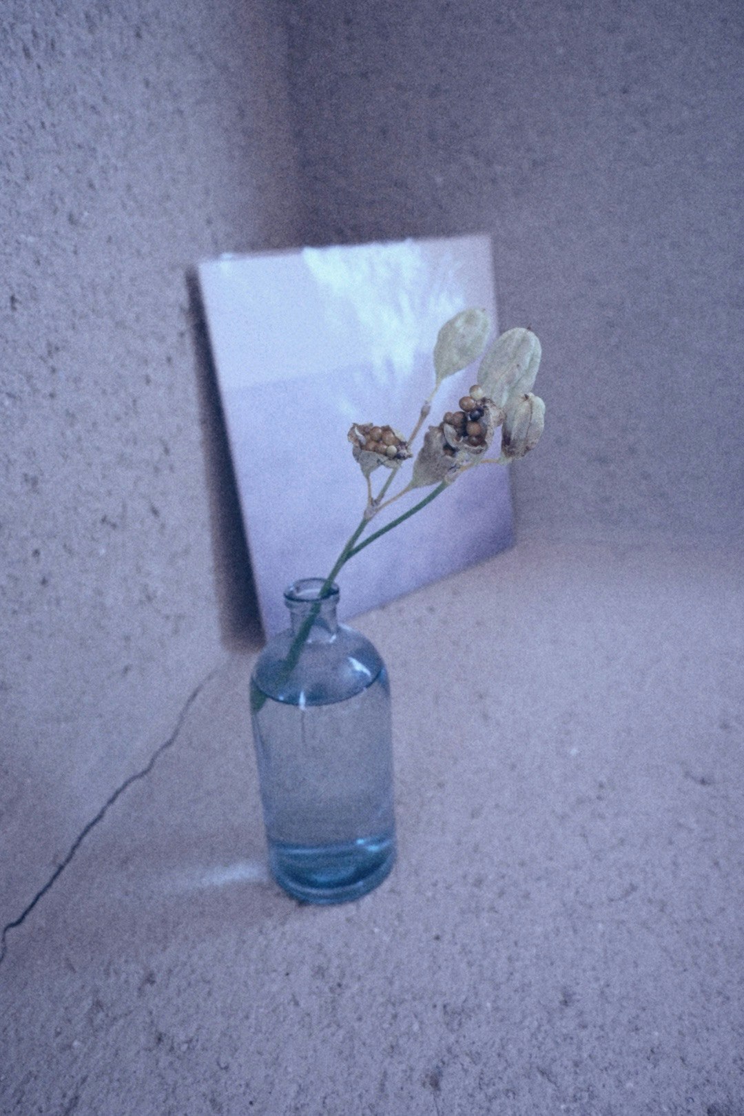大好きなカフェの一角に置かれた花とガラス瓶
