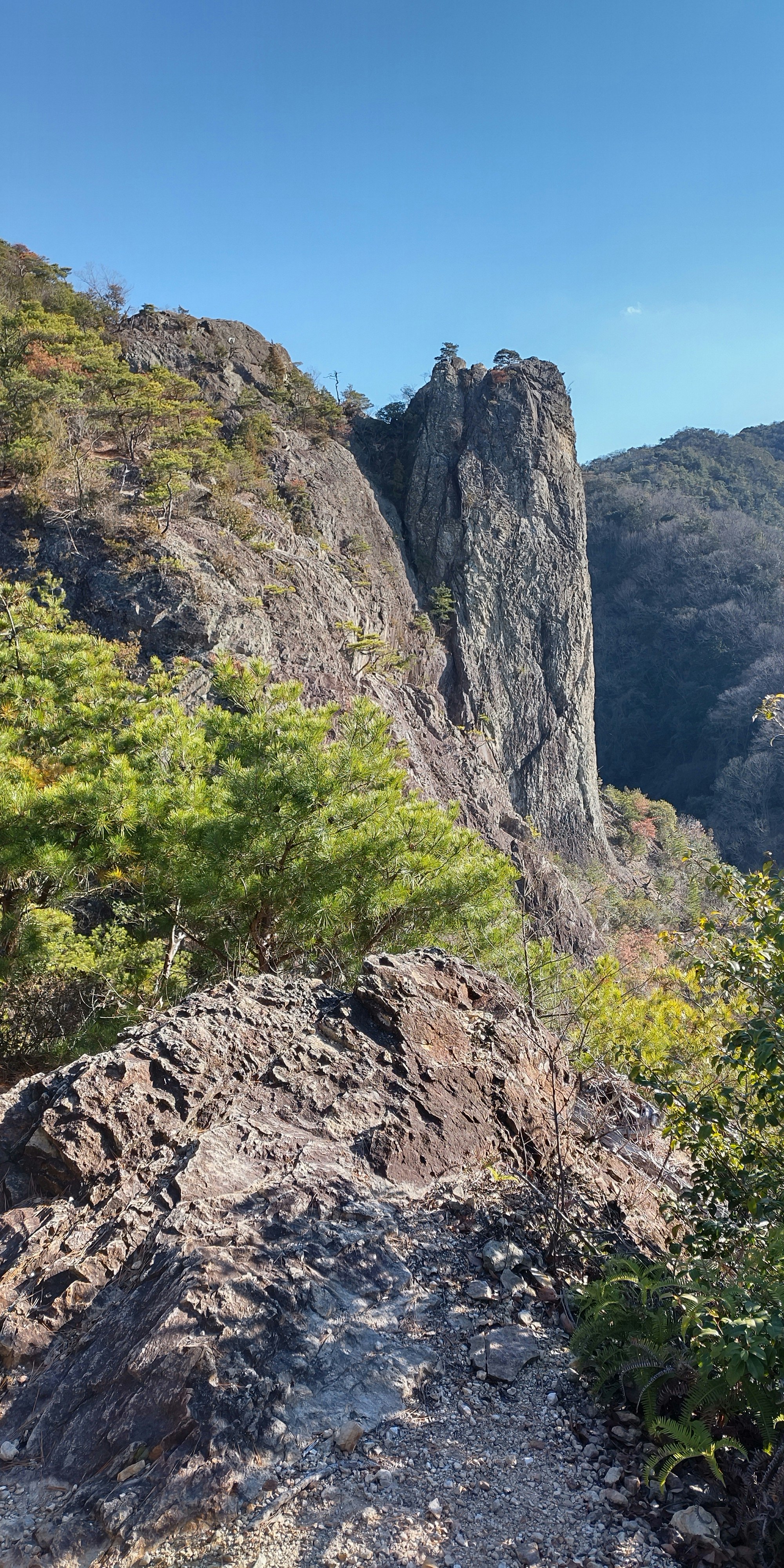 mountain cliff with lush green forest landscape