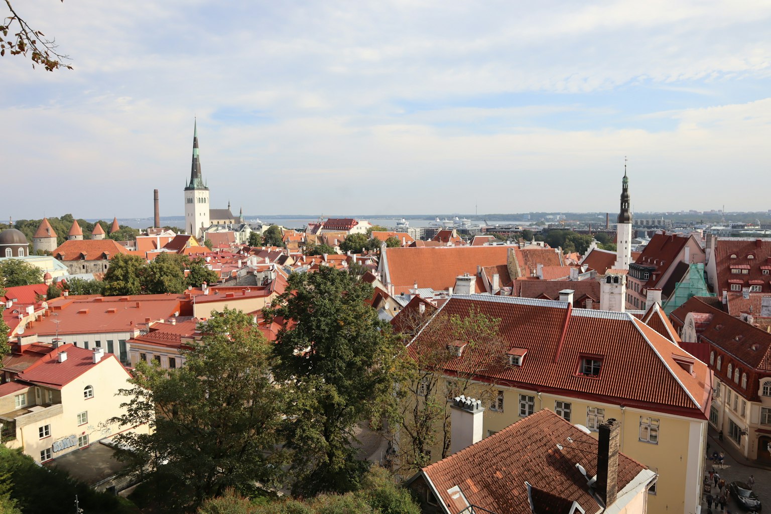 Panoramablick auf Tallinn mit roten Dächern und Kirchtürmen