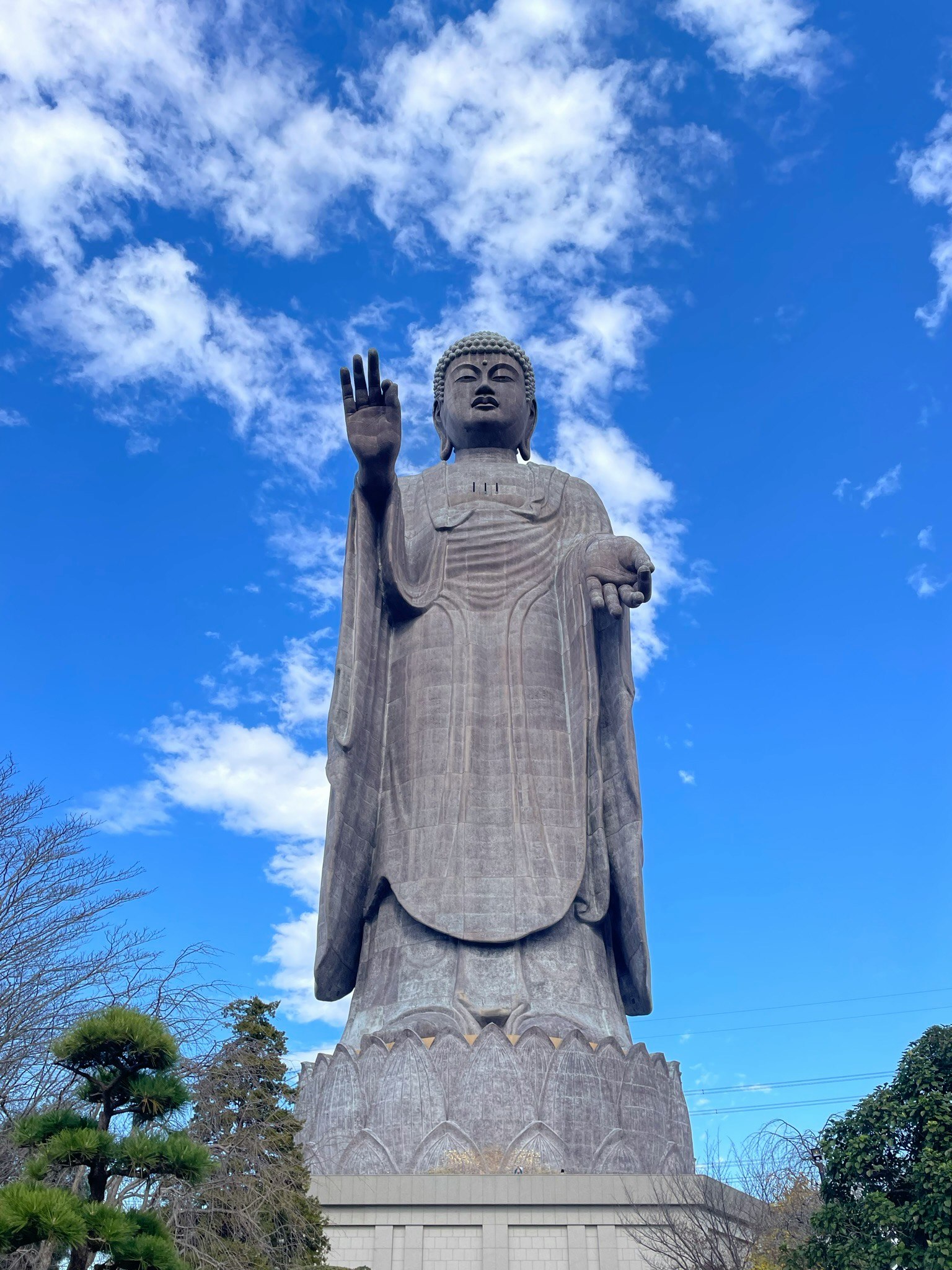 Grande statua del Buddha che si erge sotto un cielo blu con la mano alzata