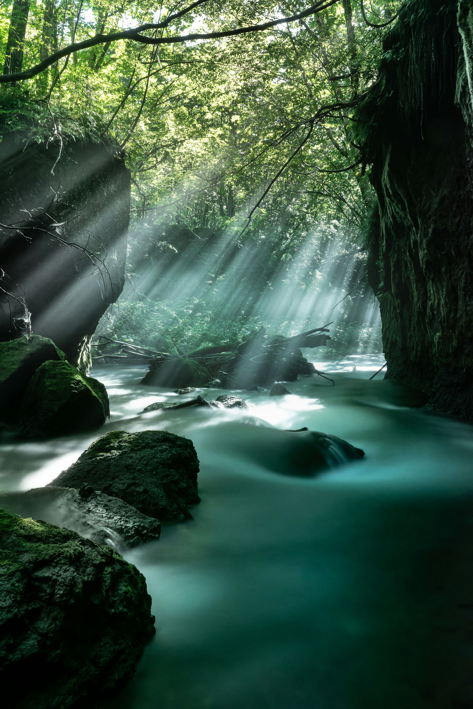 Luz del sol filtrándose a través de los árboles sobre un río tranquilo en un cañón frondoso