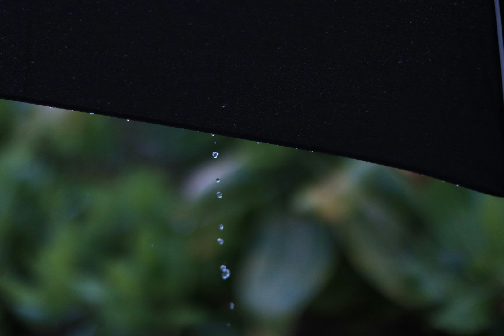黒い縁の向こうにぼけた緑と雨粒のような光点が見える窓辺の景色