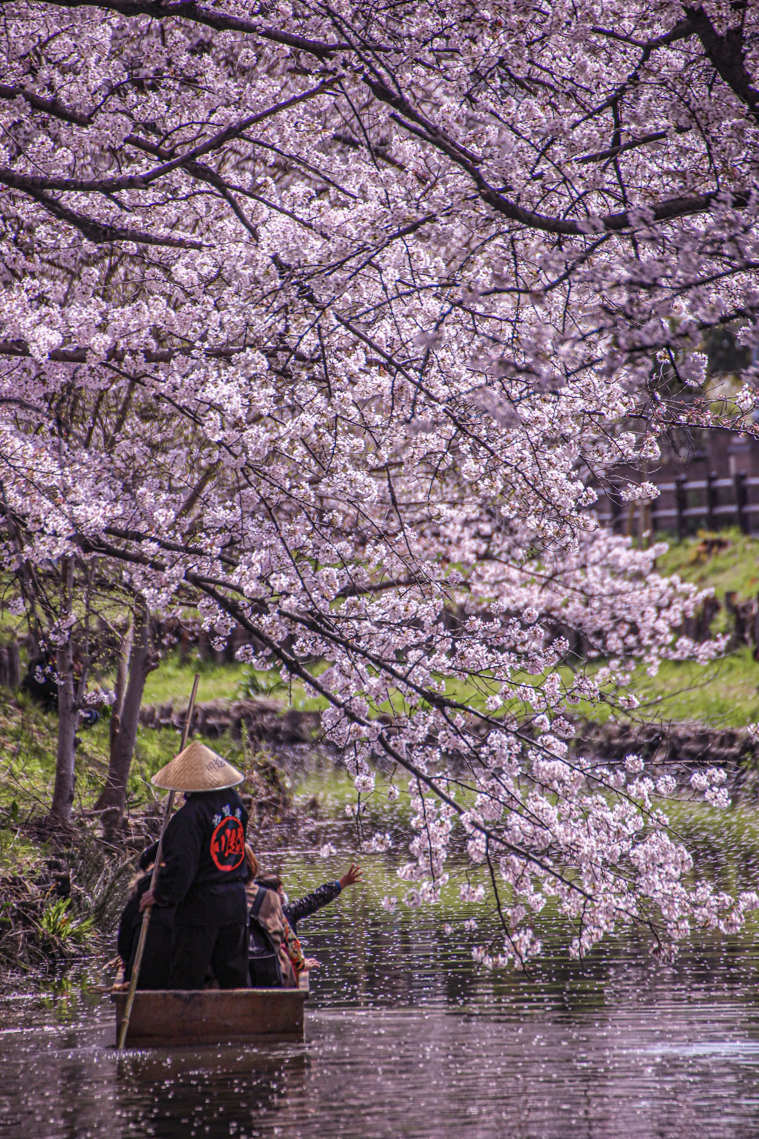 photo-AncZj7EmFUKQOU5Fl6h3-image