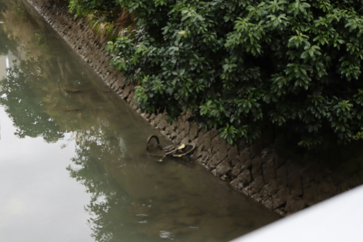 Object floating in a calm waterway surrounded by greenery