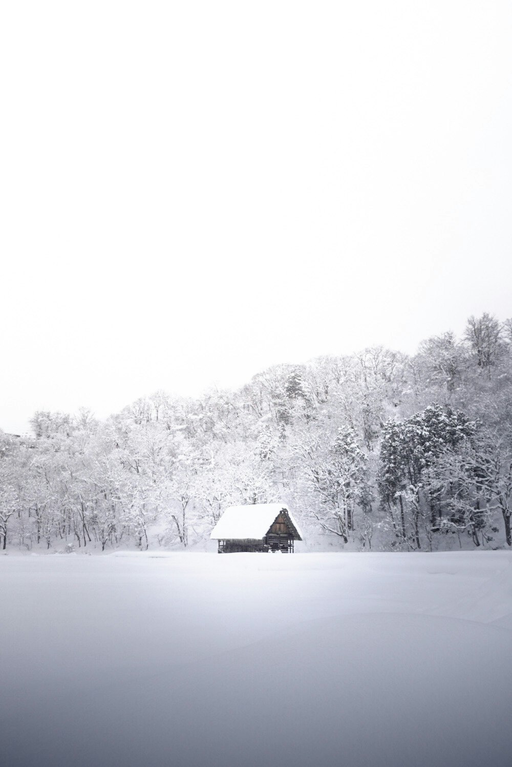 Gassho-zukuri house in a snowy forest landscape