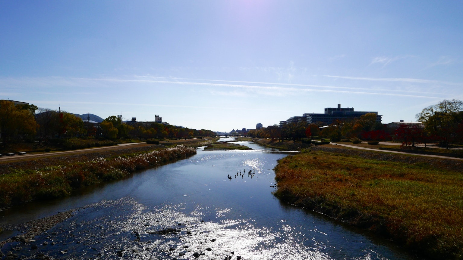 Serene river landscape with clear blue sky contrasting nature and urban surroundings