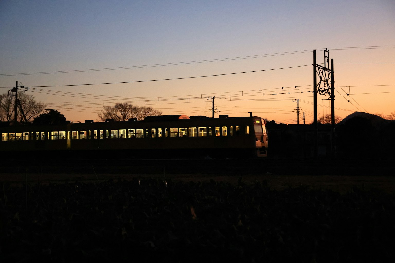 Silhouette of a train passing at sunset with power lines