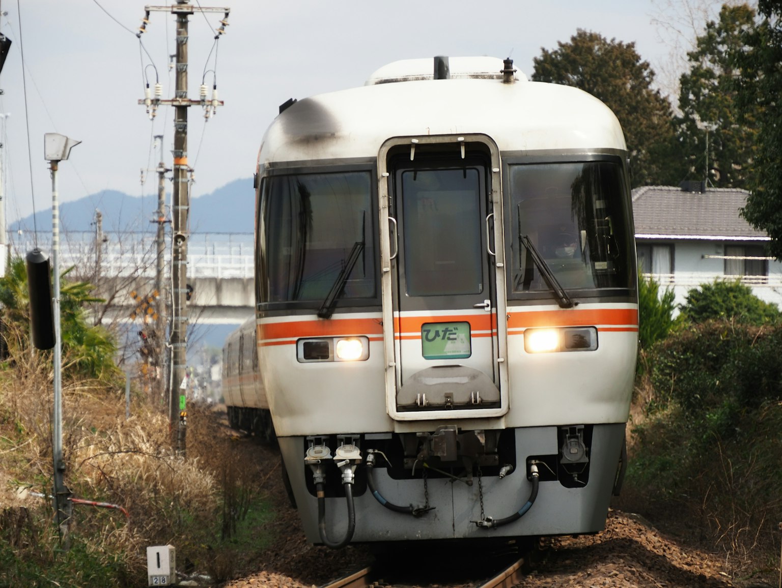 Treno bianco in arrivo sui binari con vegetazione verde su entrambi i lati