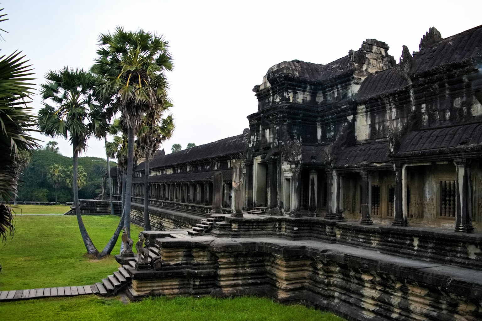 Seitenansicht der antiken Architektur von Angkor Wat mit grünem Gras und Palmen