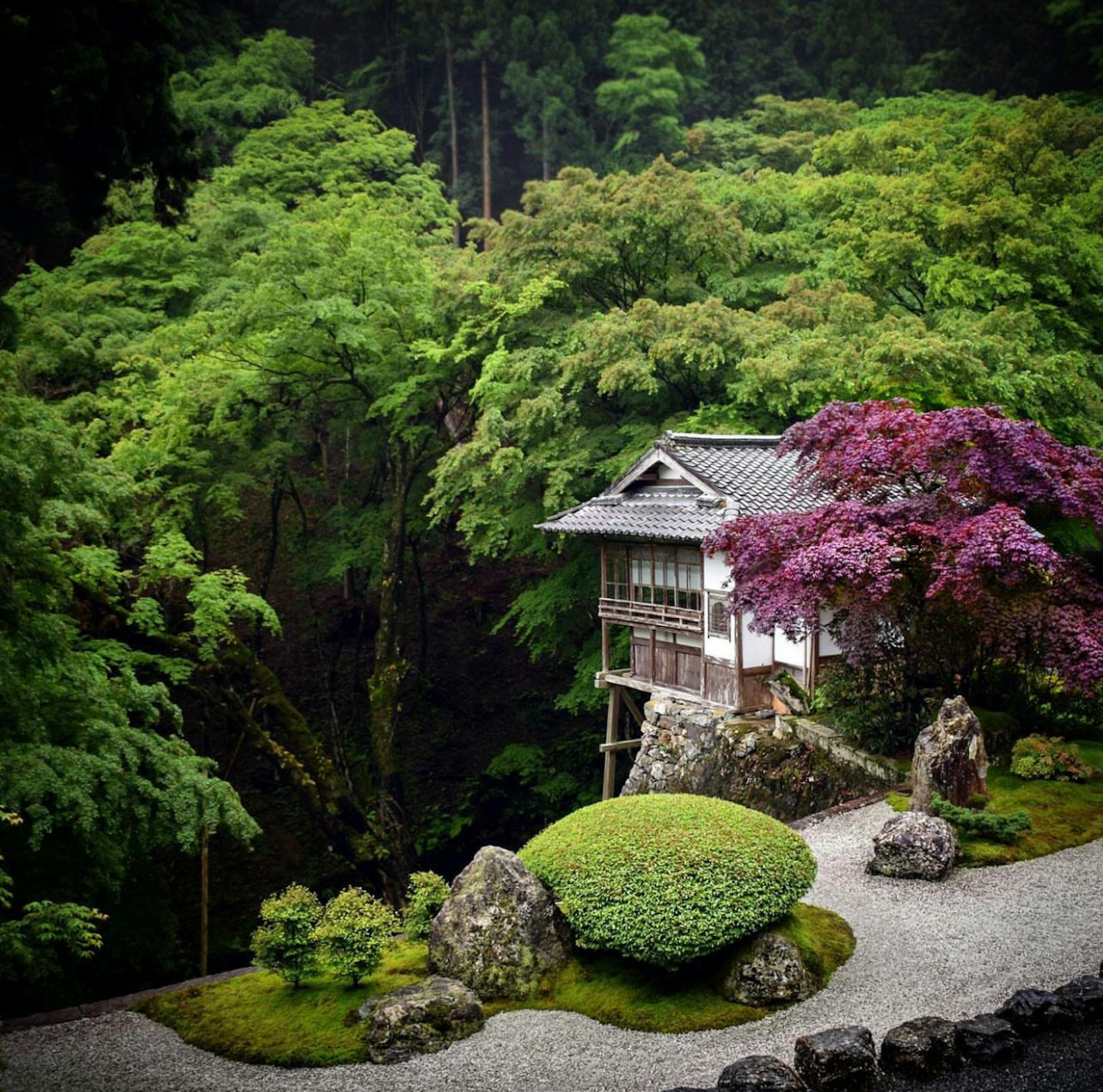 被郁郁葱葱的森林和花园环绕的美丽传统日本房屋