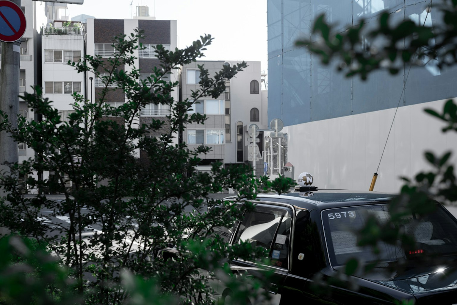 樹木環繞的街道場景與一輛黑色汽車