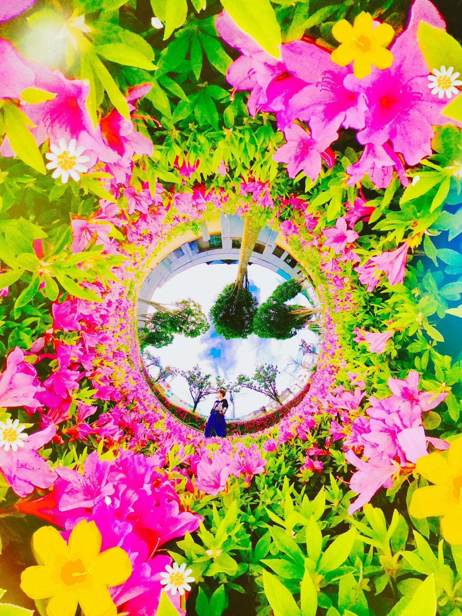 Image présentant un miroir circulaire entouré de fleurs vives et de verdure