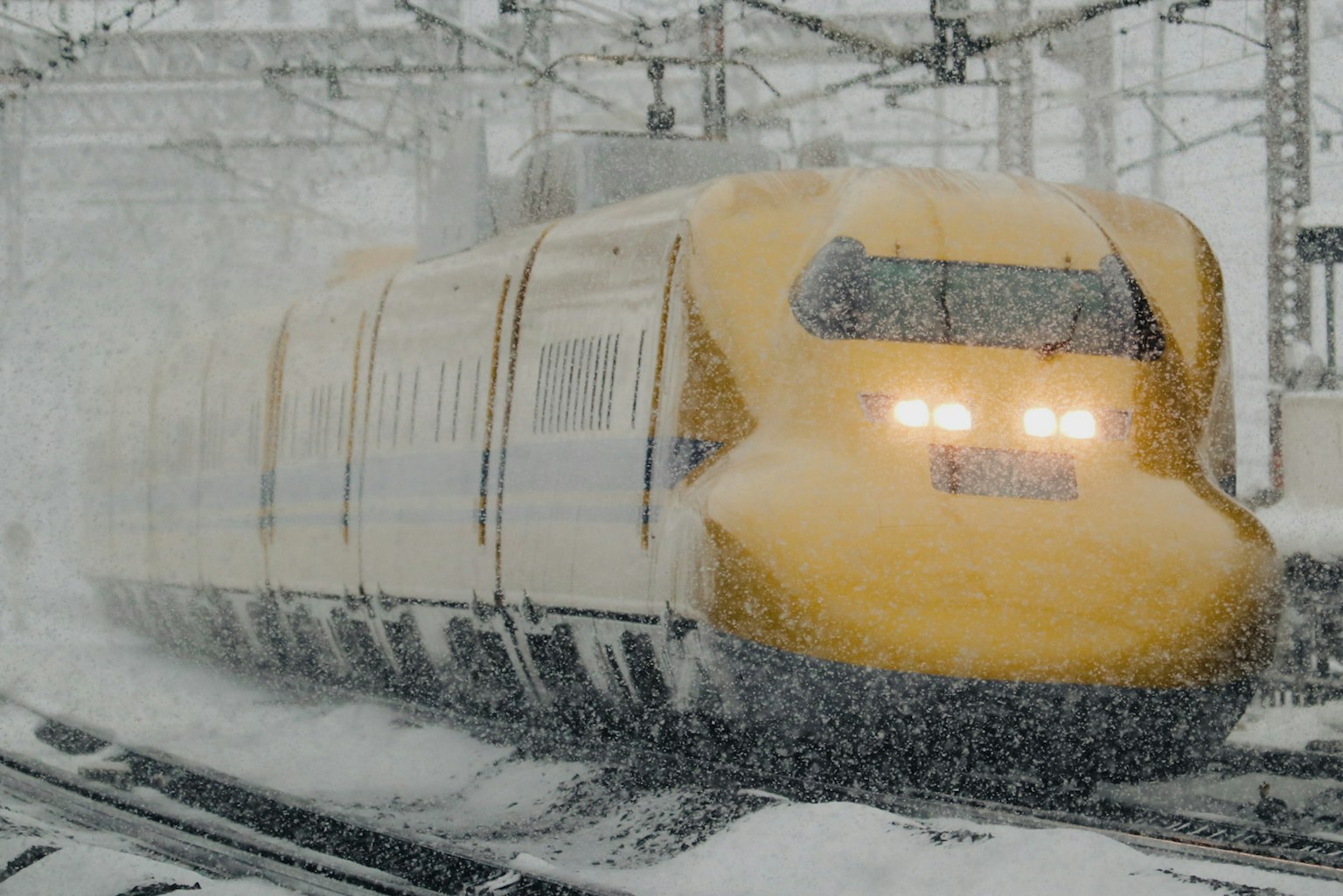 Tàu Shinkansen màu vàng chạy trong tuyết