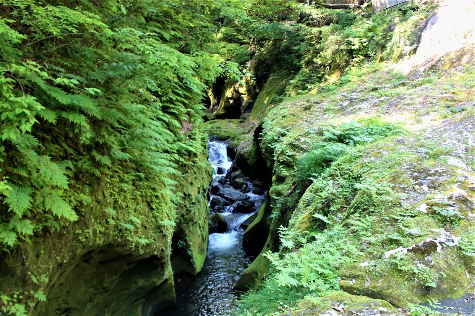 Vue pittoresque d'un ruisseau traversant un canyon verdoyant