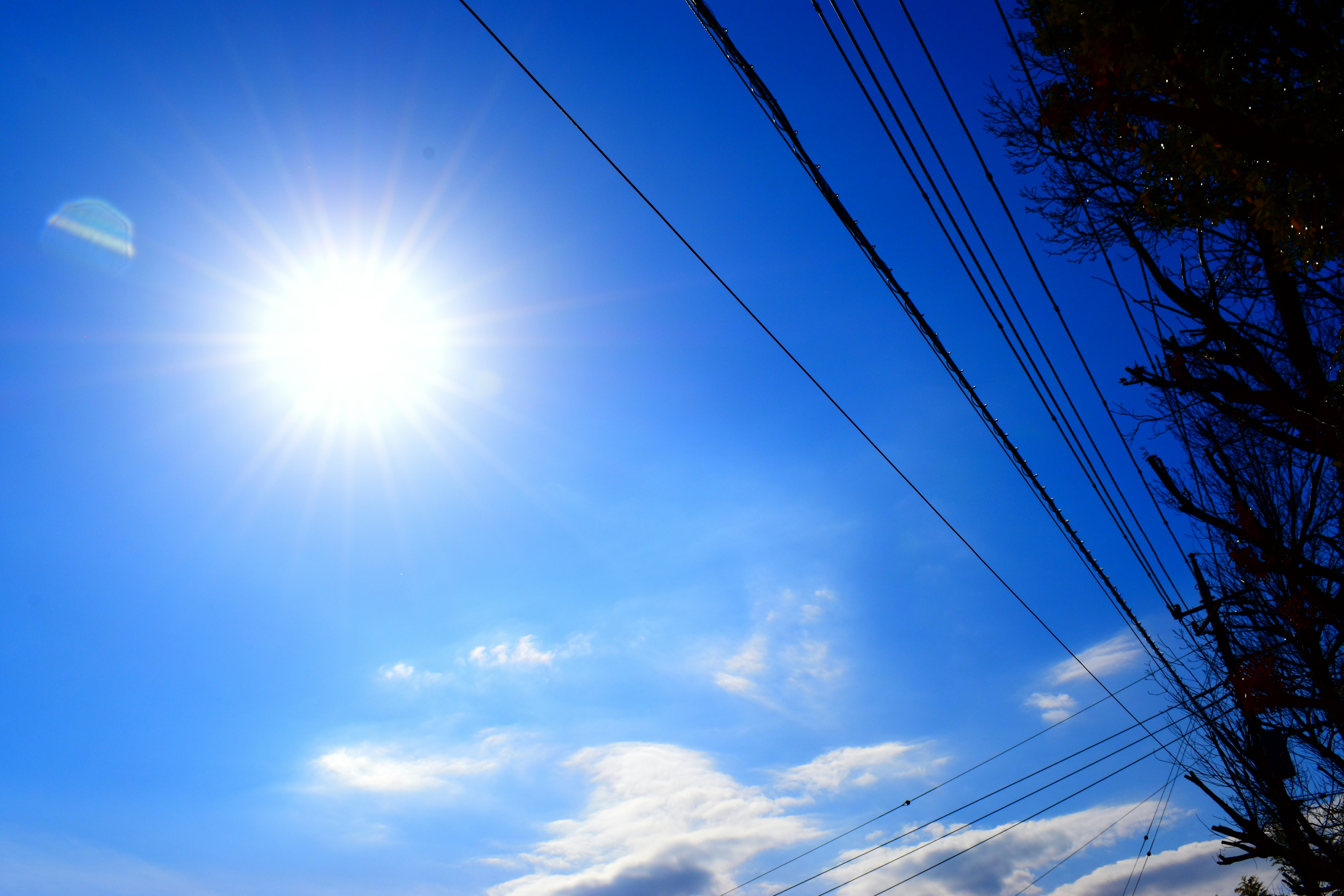 青空の下、電線と空を見上げる風景