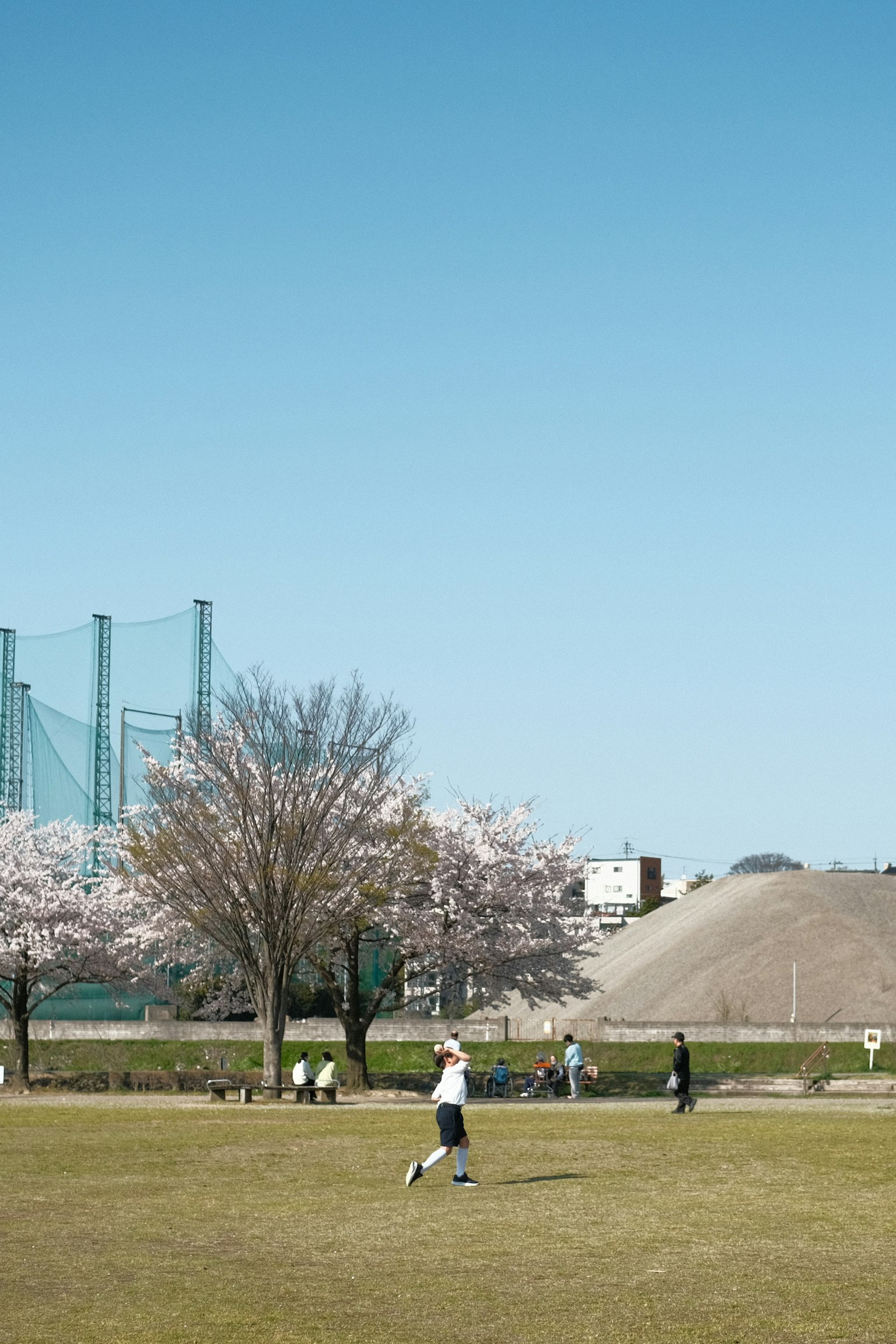 藍天下櫻花樹下玩耍的人們的公園場景