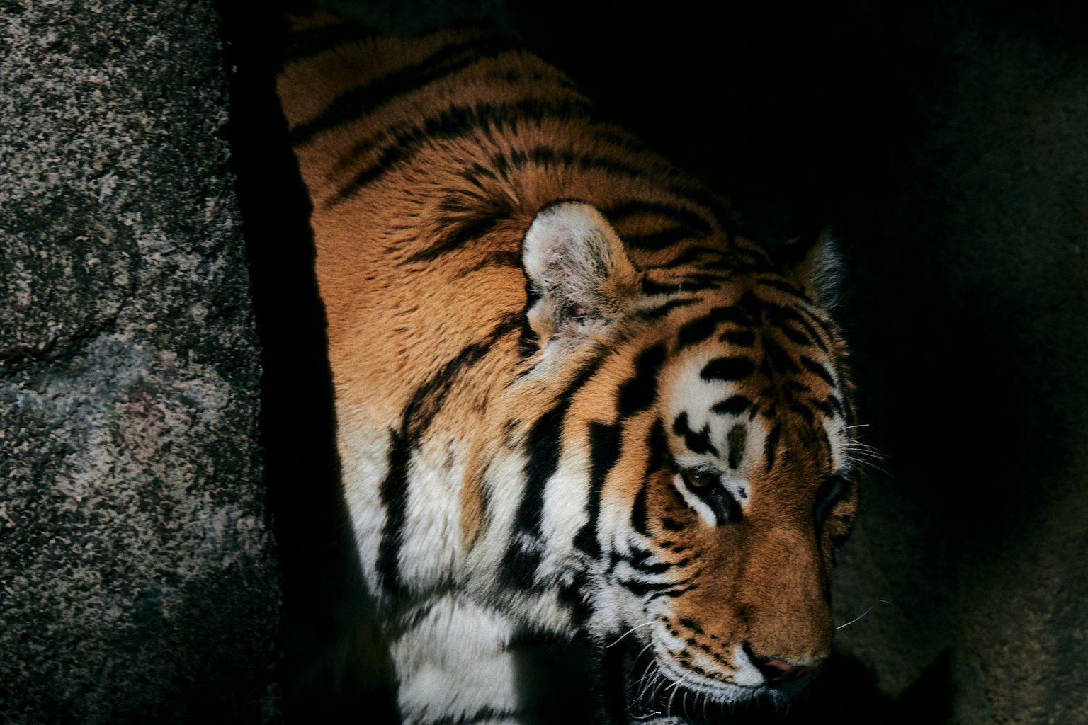 photo-Asfw6c5rvAN7t2Mvq9Ny-image