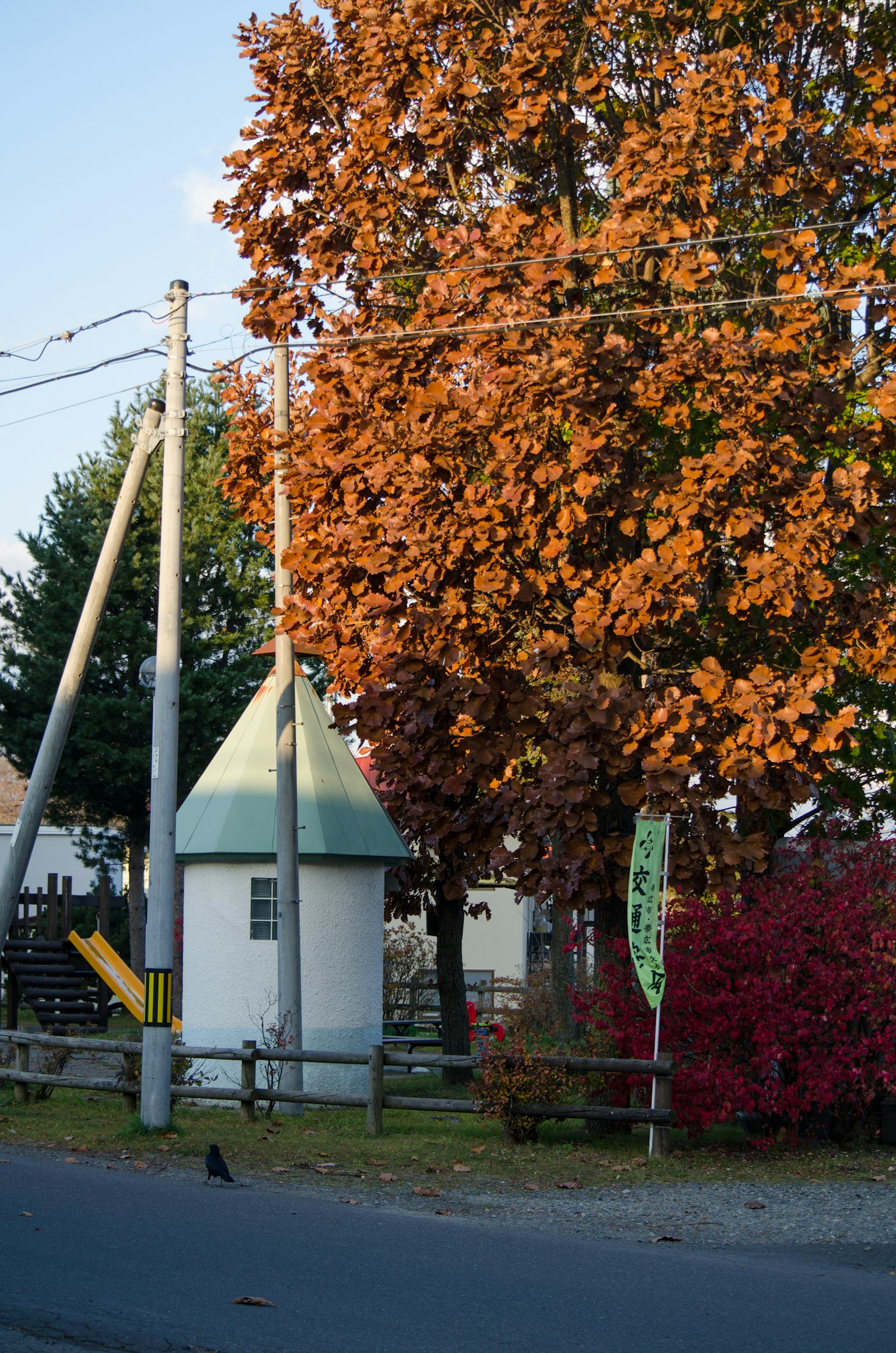 Ein großer Baum mit orangen Blättern neben einem kleinen weißen Gebäude und Strommasten