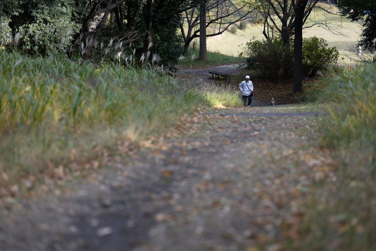 Eine Person, die auf einem Kiesweg geht, umgeben von grünem Gras und Bäumen