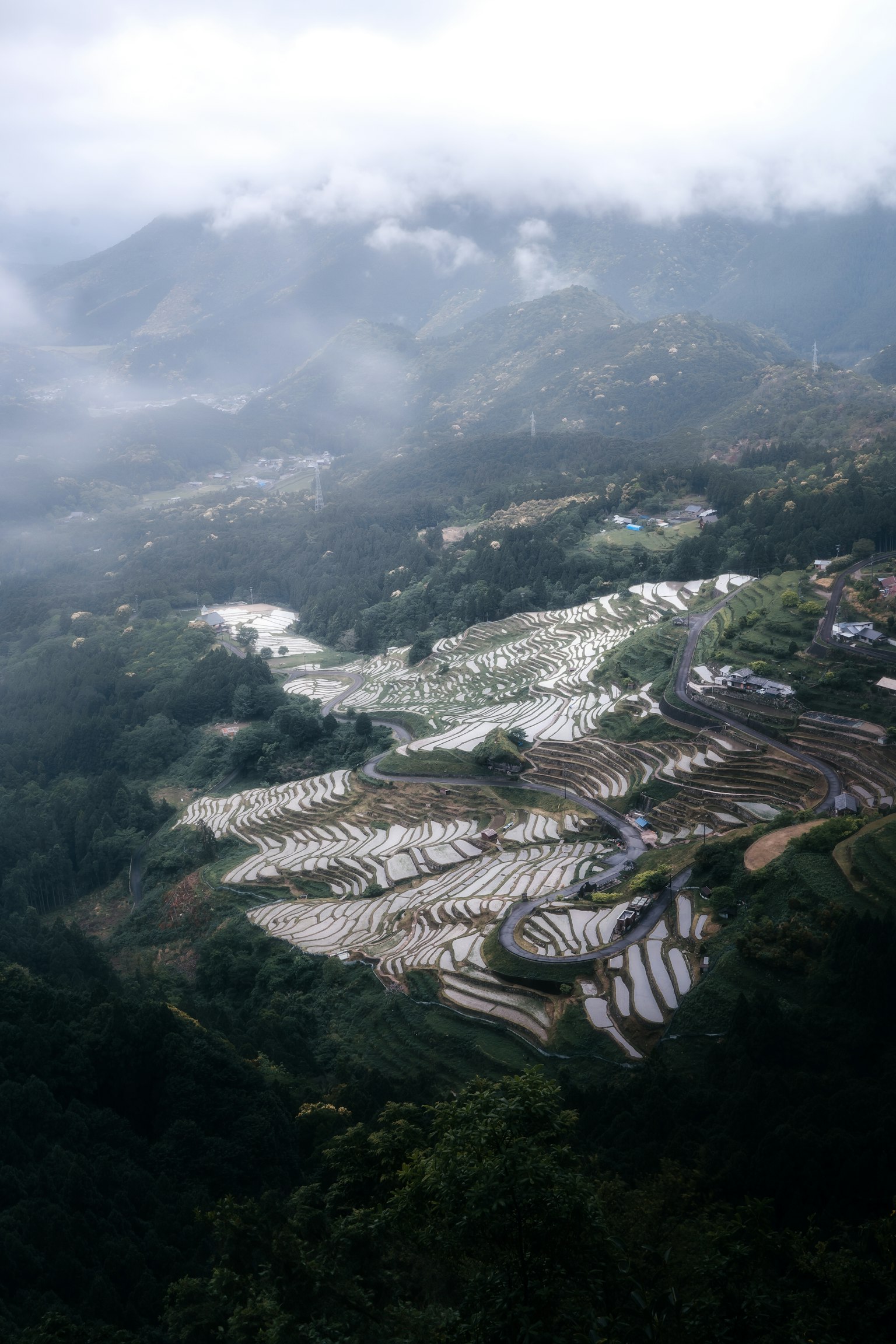 photo-AtIihsJ4nMFmK2o4np6b-image