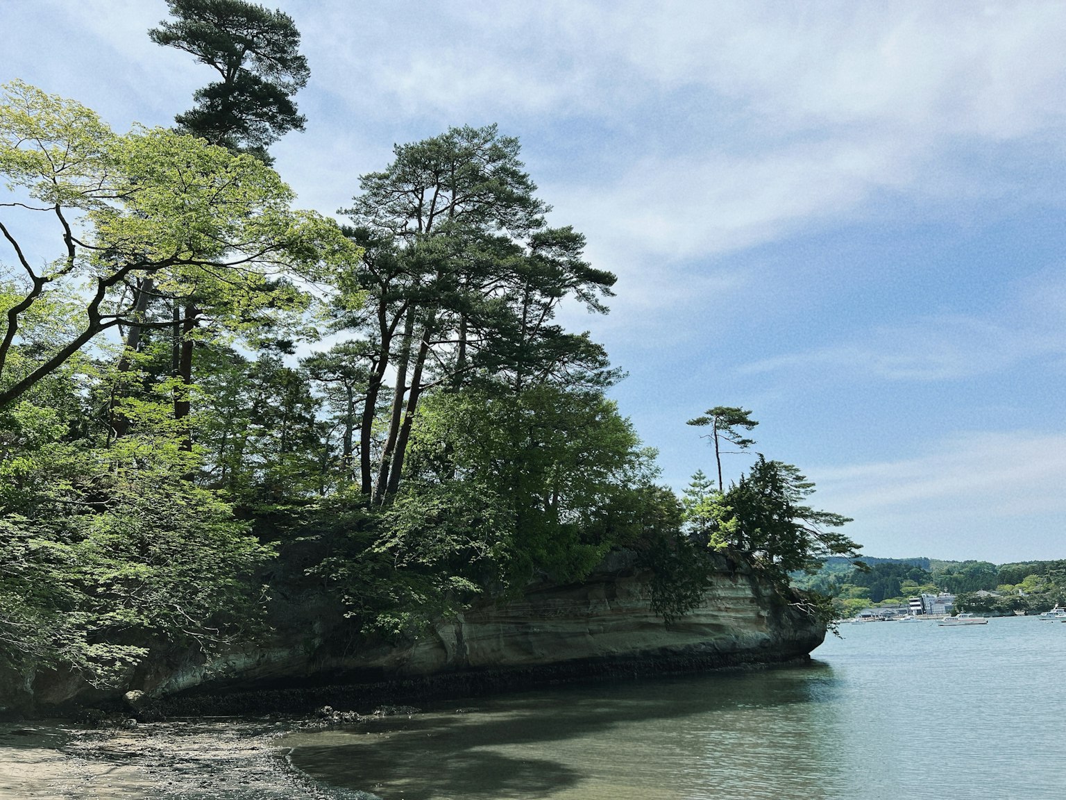 Acque tranquille che riflettono alberi e cielo blu