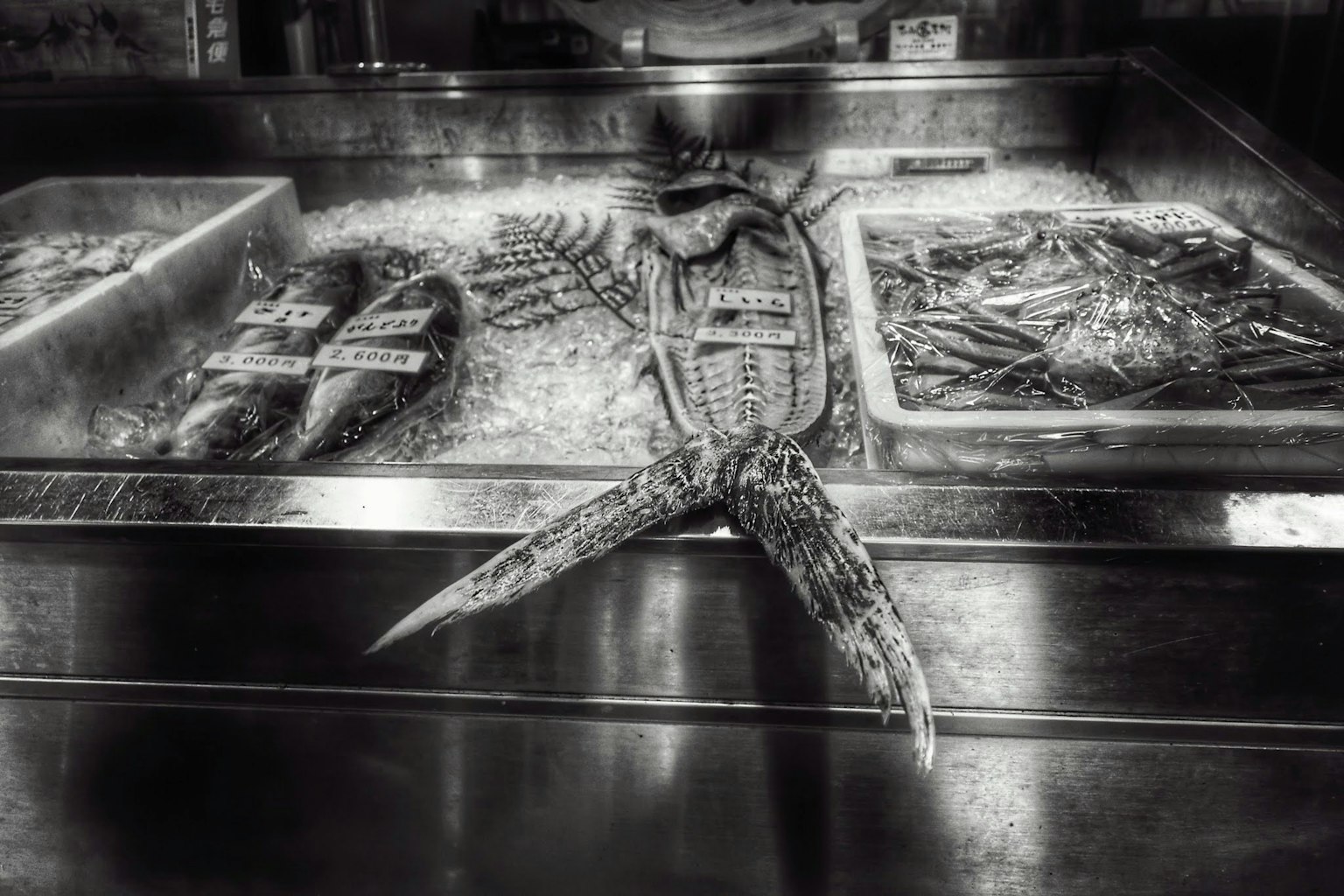 Variedad de pescados y mariscos exhibidos sobre hielo en un mercado