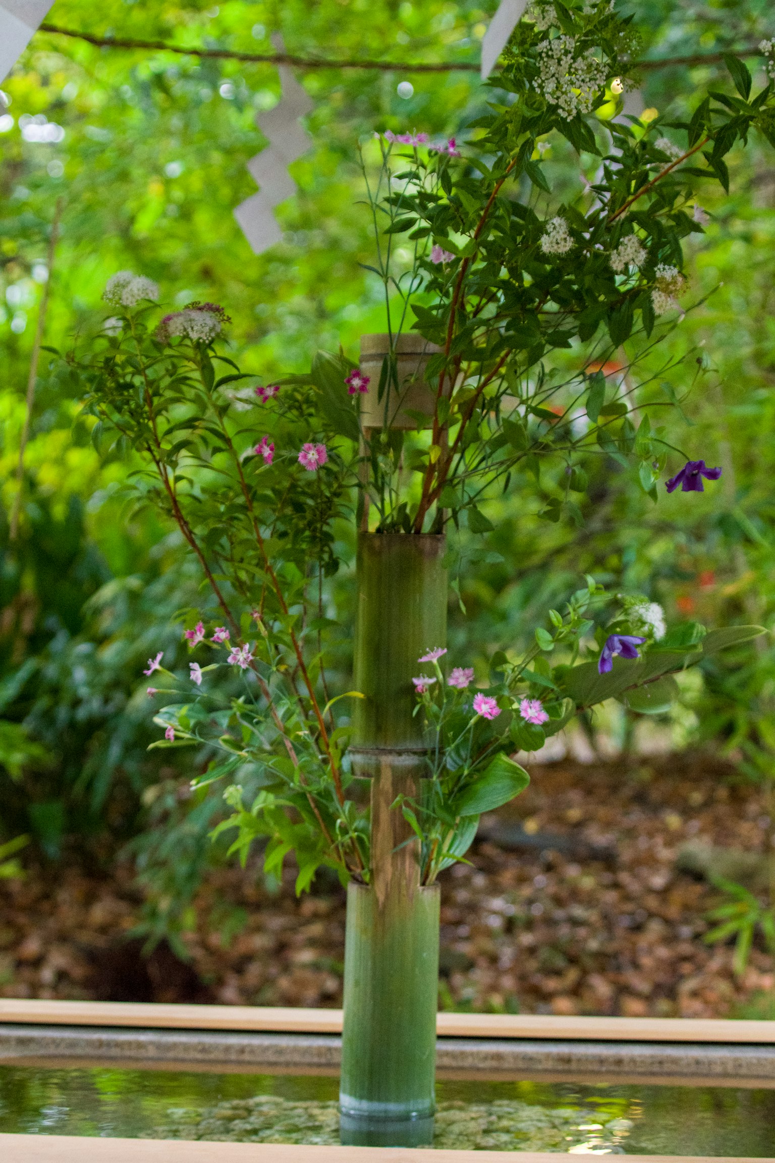 Fiori colorati disposti in un vaso di bambù su sfondo verde
