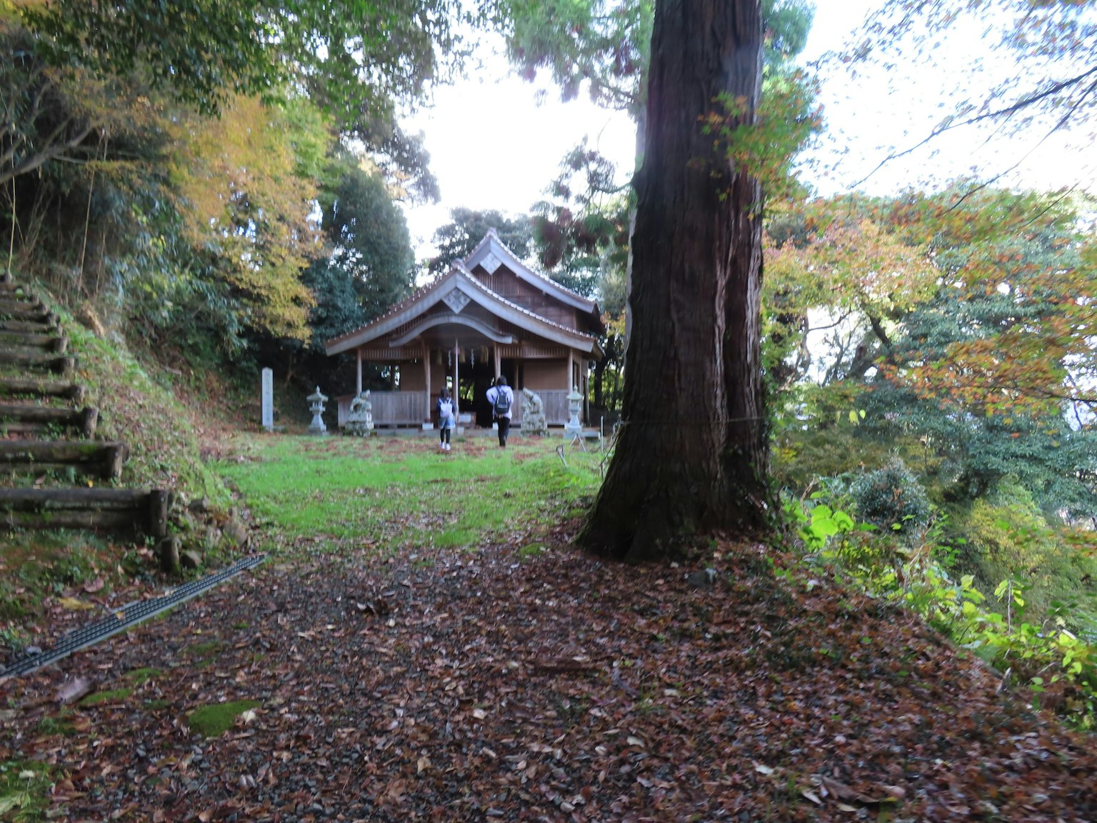 Sanctuaire japonais traditionnel entouré de magnifiques feuillages d'automne