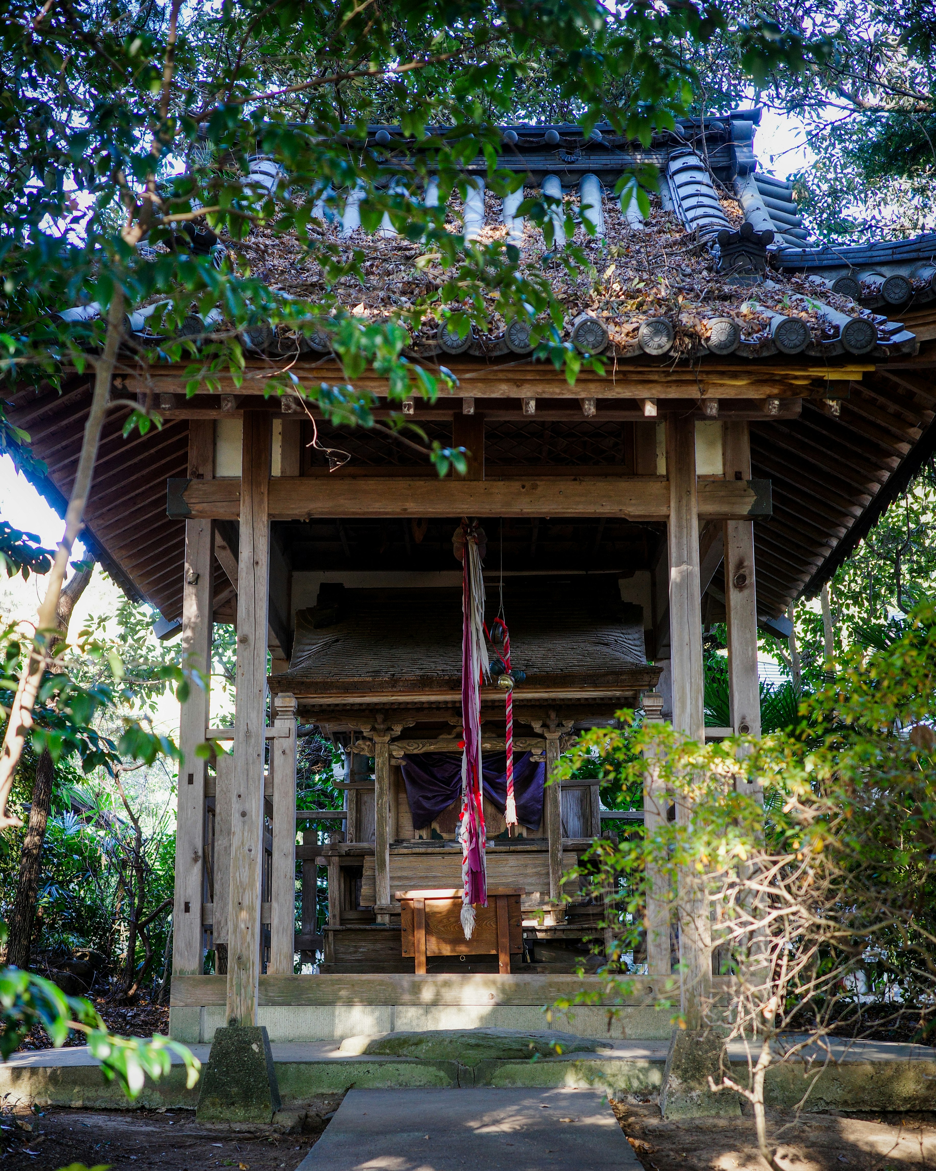 木造の小さな神社の拝殿と石段のある参道