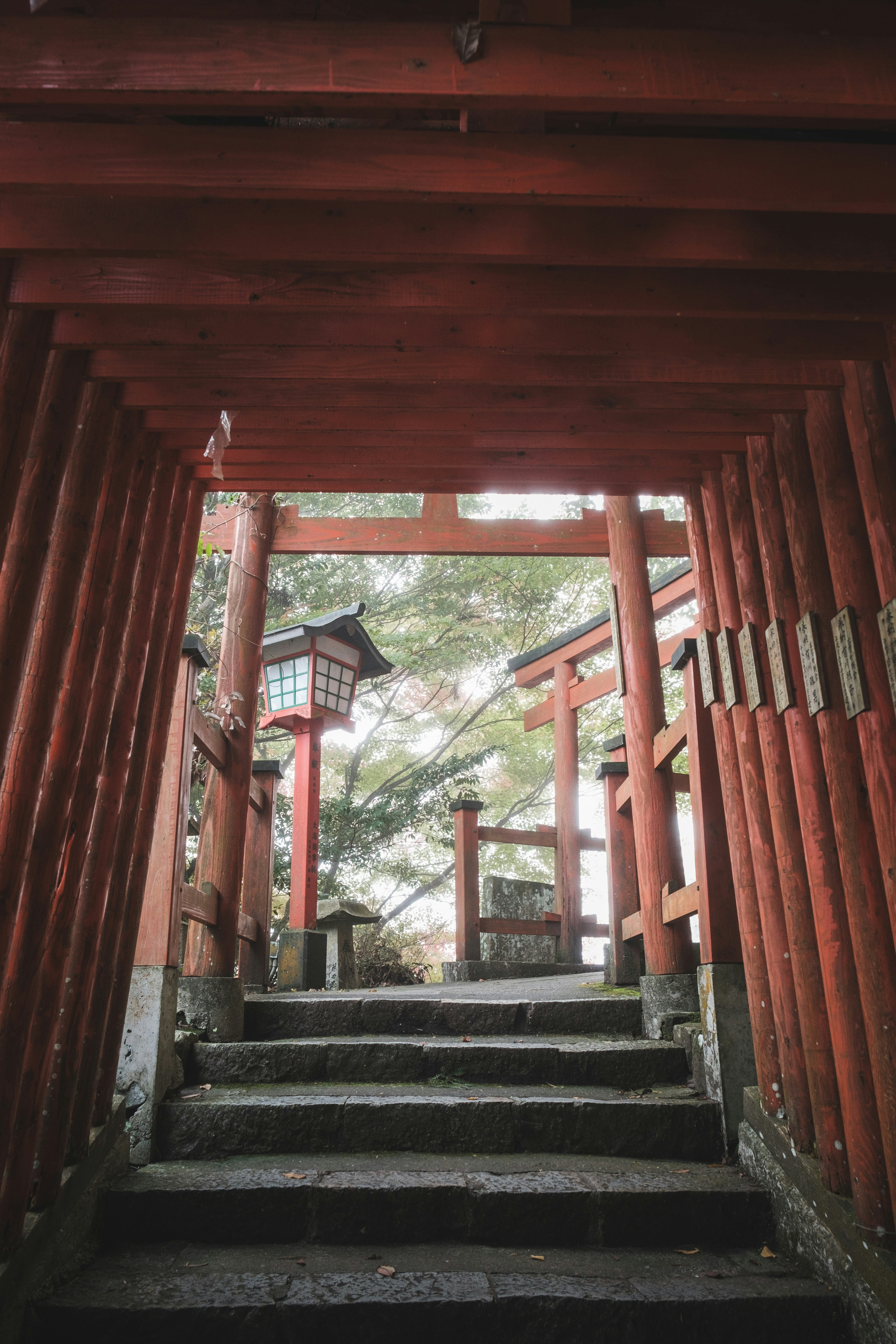 朱色の鳥居が続く石段の参道