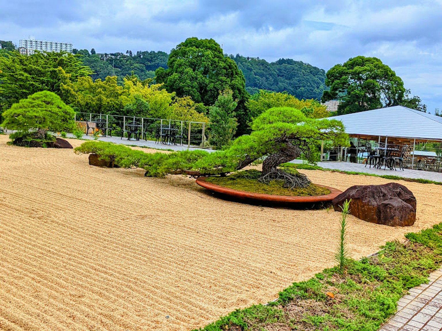 Una hermosa escena de jardín japonés con pinos bien cuidados y un paisaje de grava