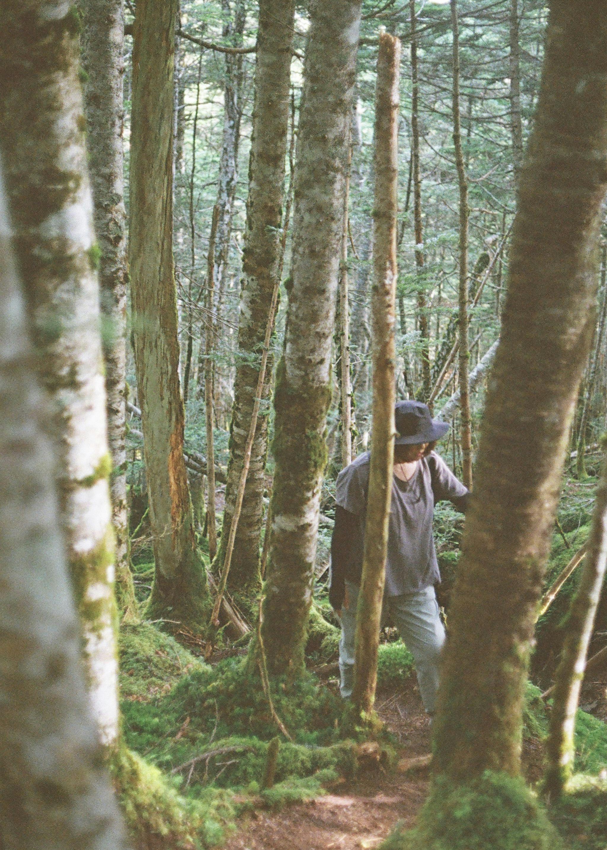 苔むす森の木立の中を歩く人物
