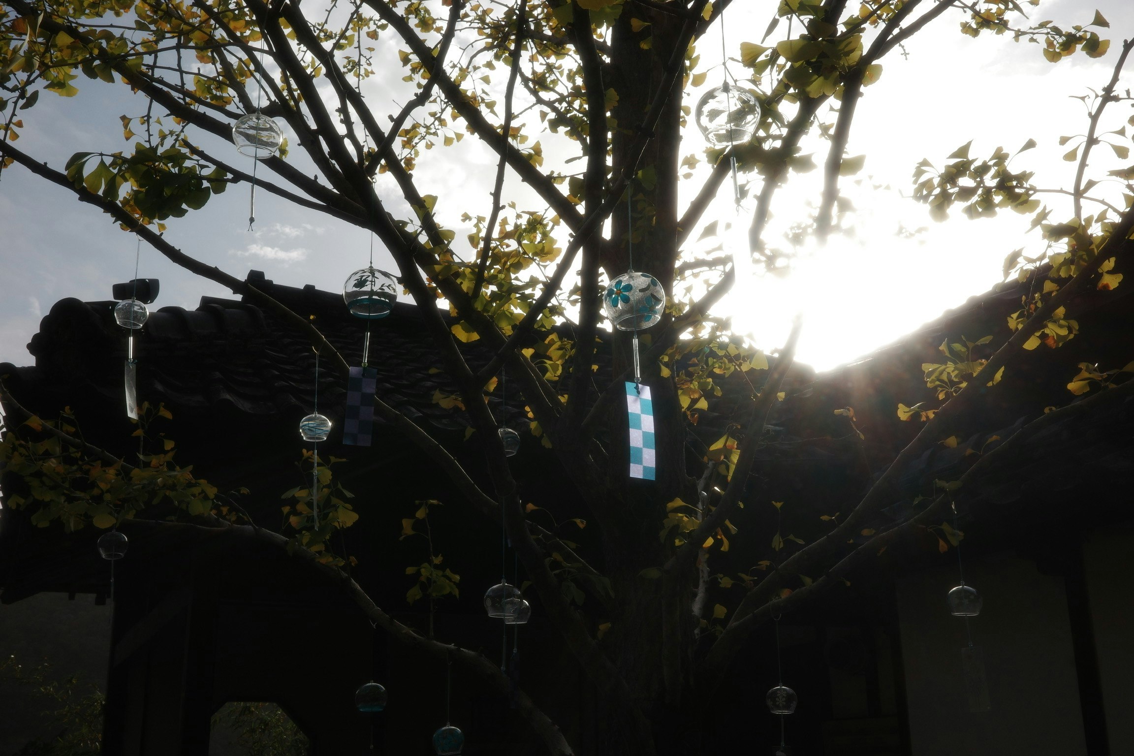 photo-Aw60PmxWRZxaainQse6Q-image