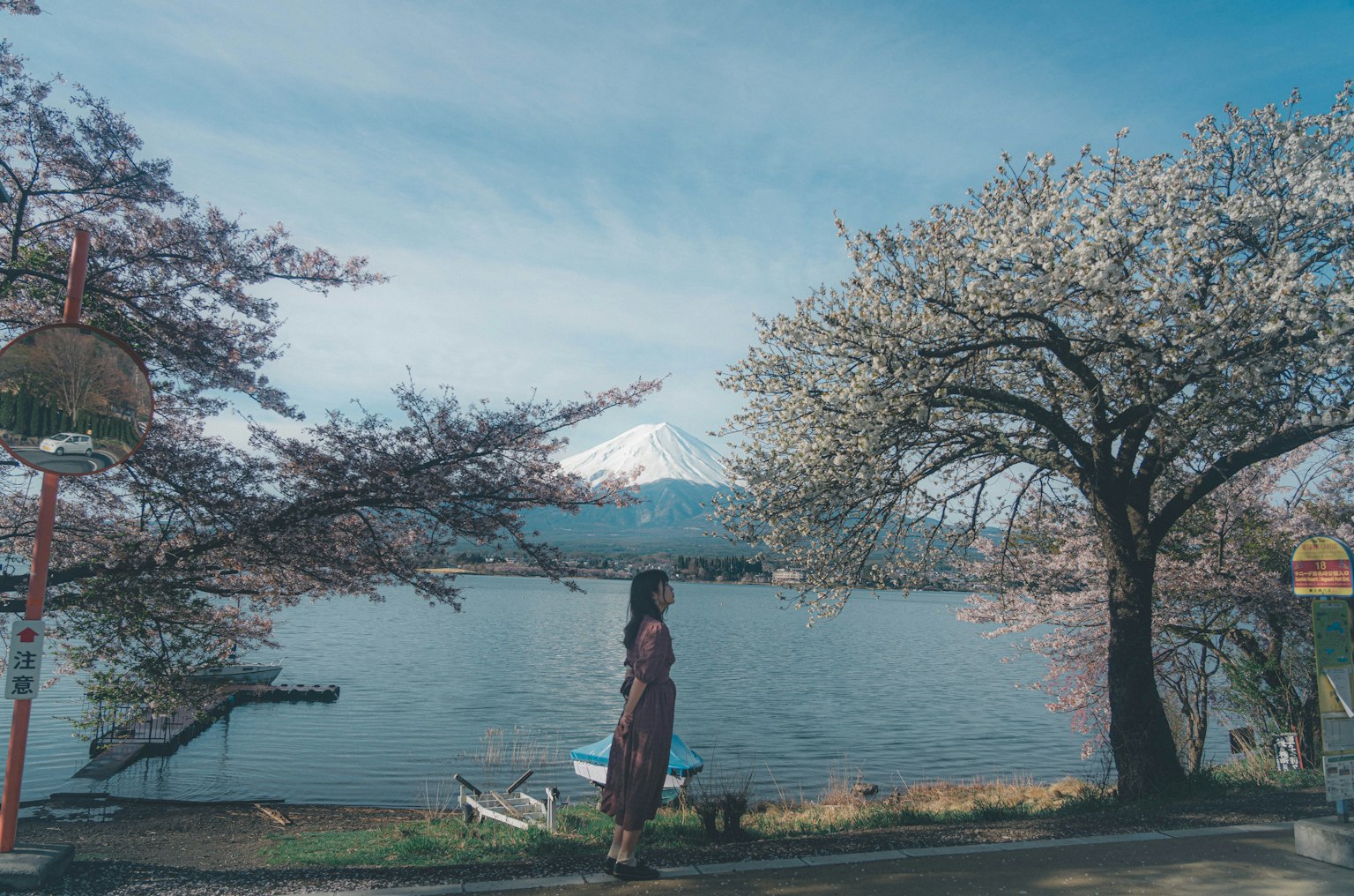 Frau steht am Ufer eines Sees mit Kirschblütenbäumen und dem Fuji im Hintergrund