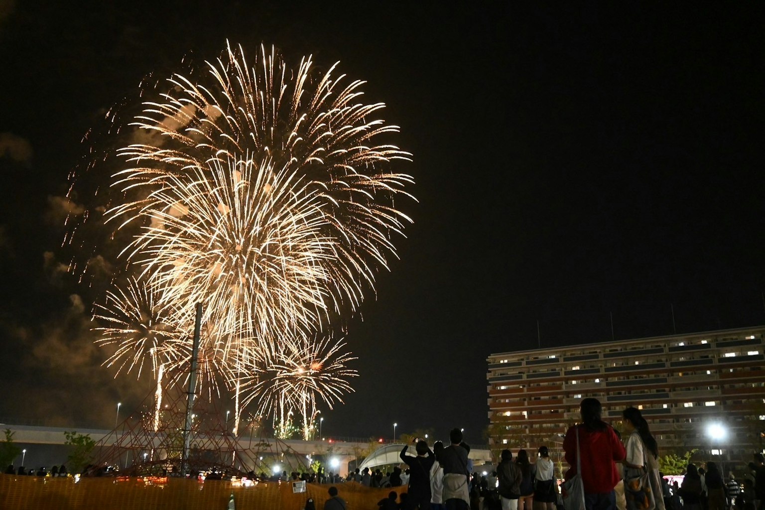 Fireworks lighting up the night sky with spectators